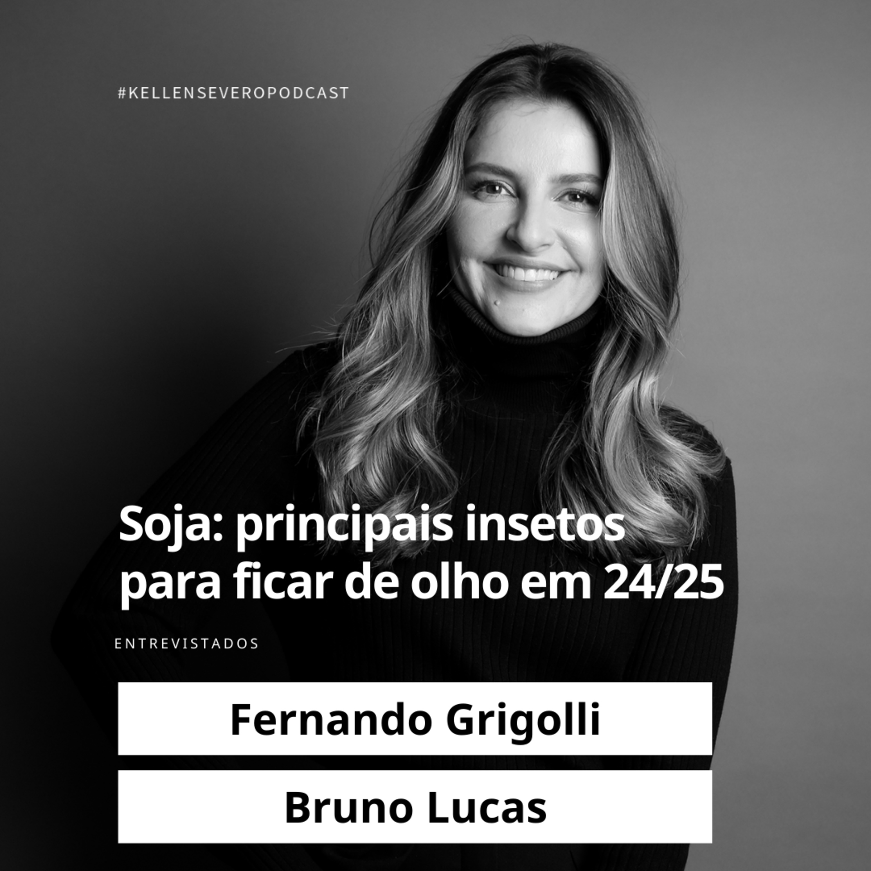 508. Soja: principais insetos para ficar de olho em 24/25 episode artwork
