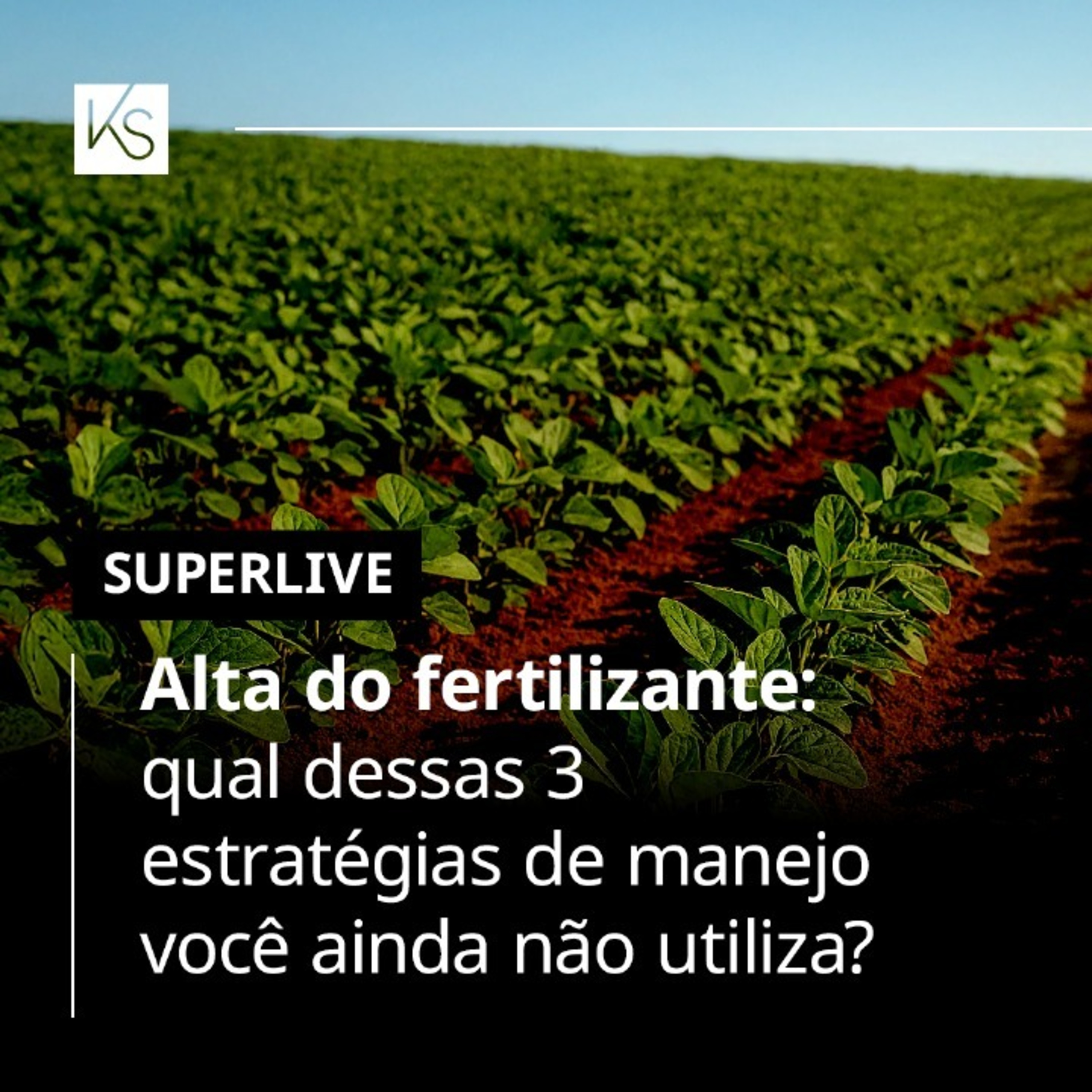 610. Manejo da lavoura em tempo de alta do fertilizante episode artwork