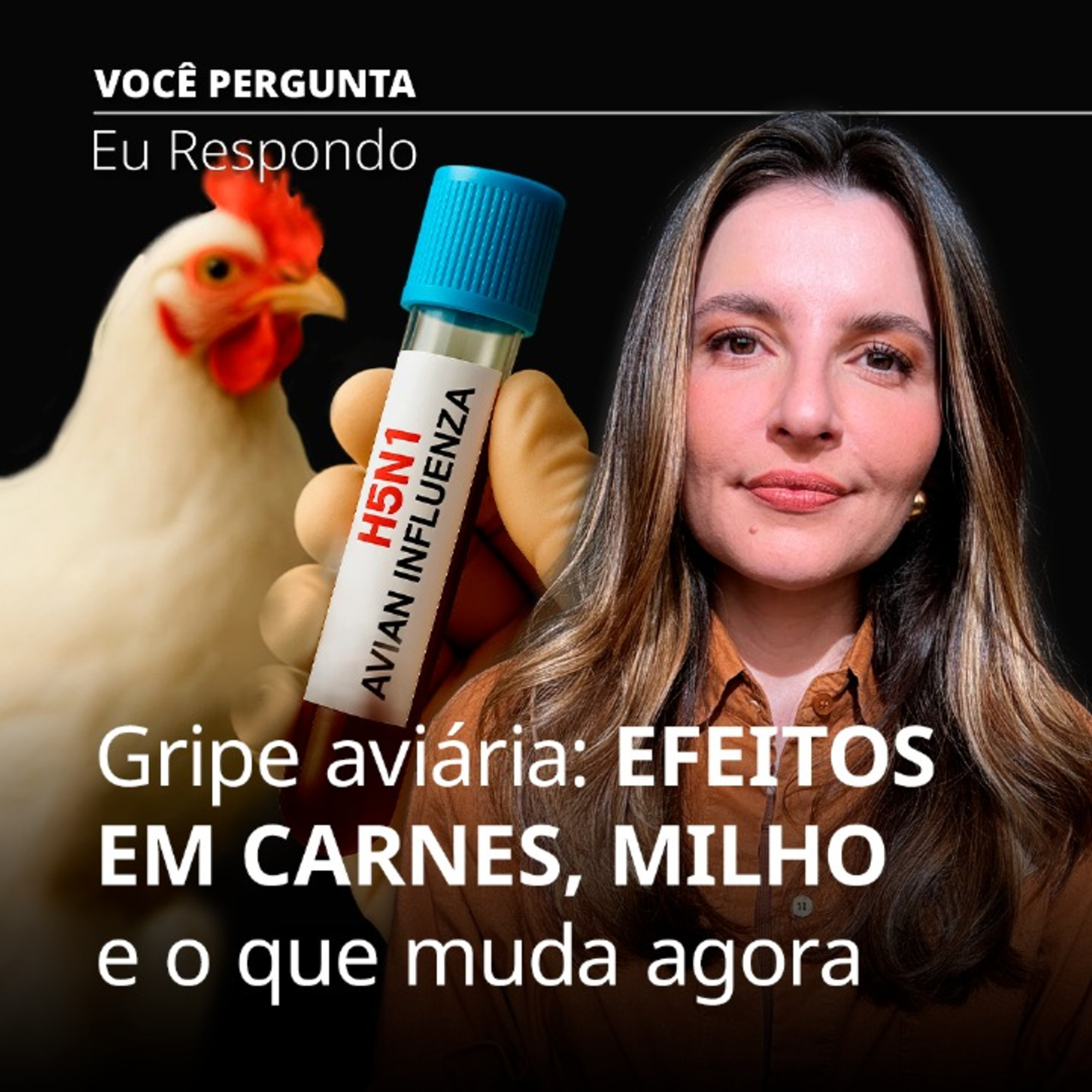 #636. Como a gripe aviária impacta as carnes, o milho e o Brasil no agro mundial? episode artwork