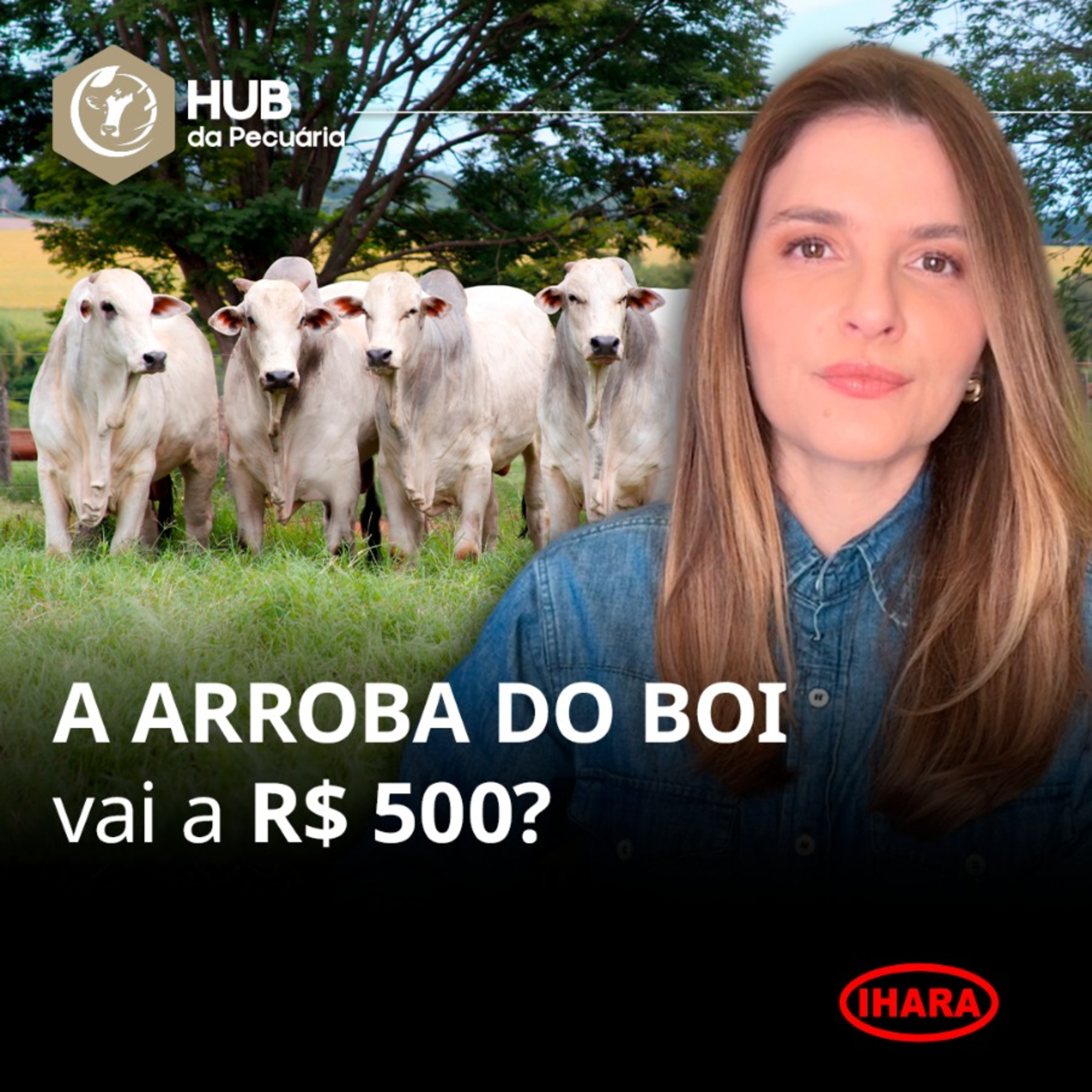 894. A arroba do boi vai a R$500? episode artwork