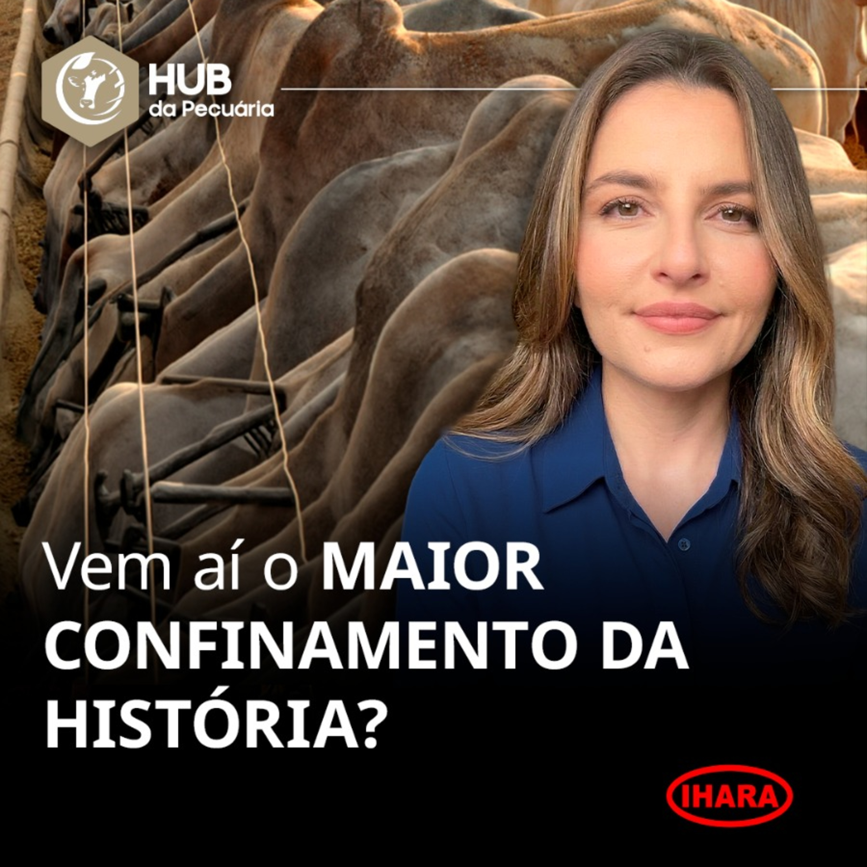 922. Vem aí o maior confinamento da história? episode artwork