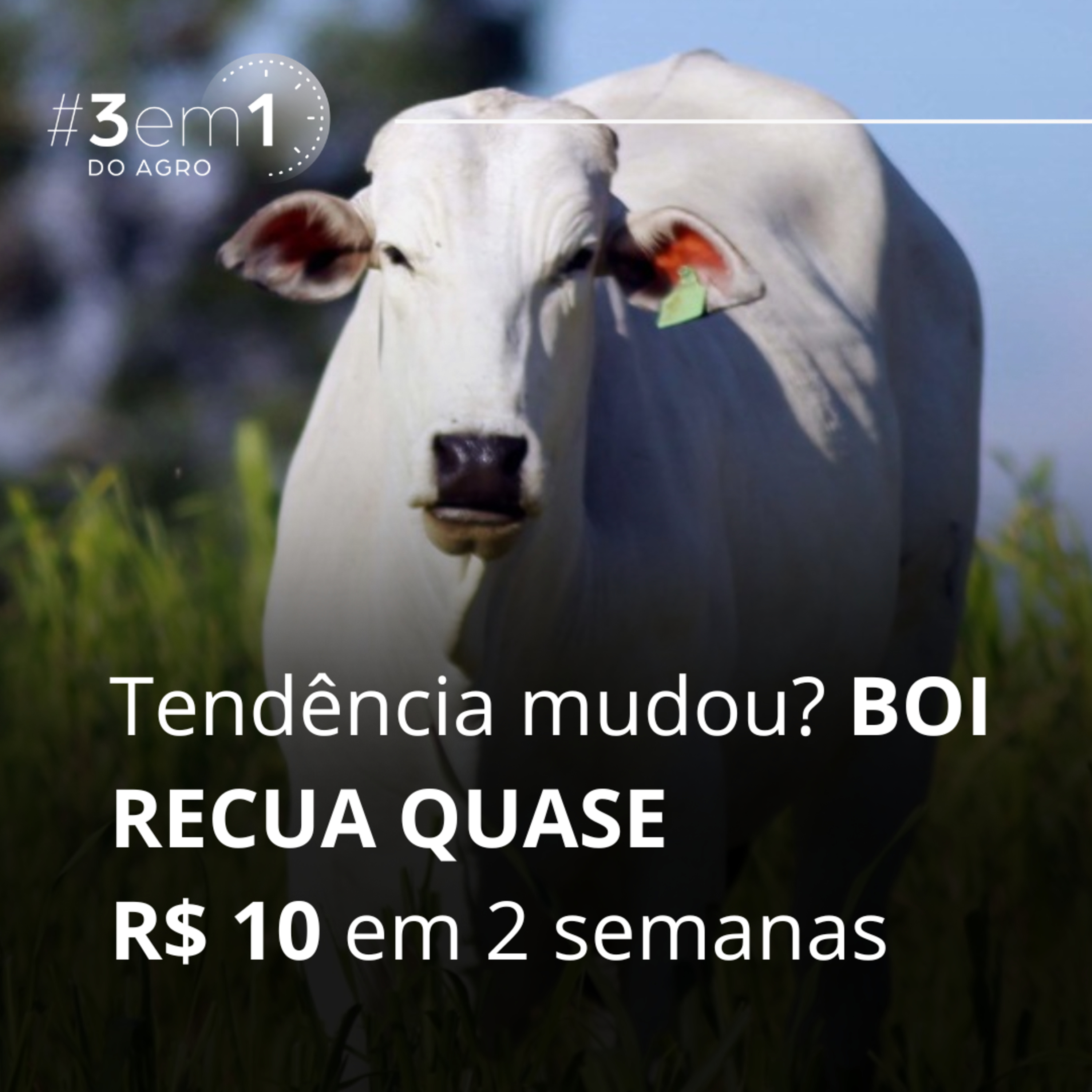 937. #3em1Agro - 29/04/26 episode artwork