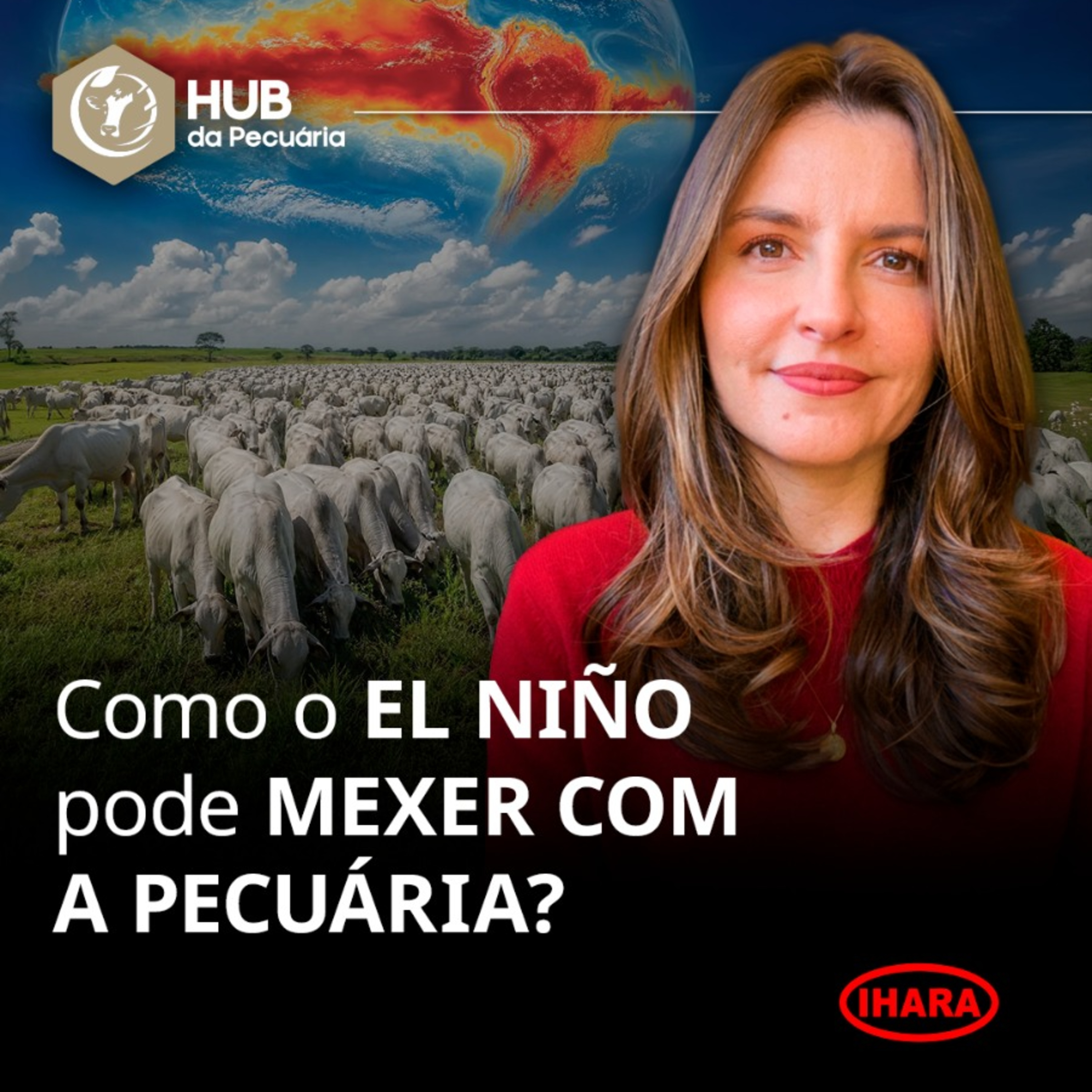 1008. Como o El Niño poderá mexer com a pecuária? episode artwork