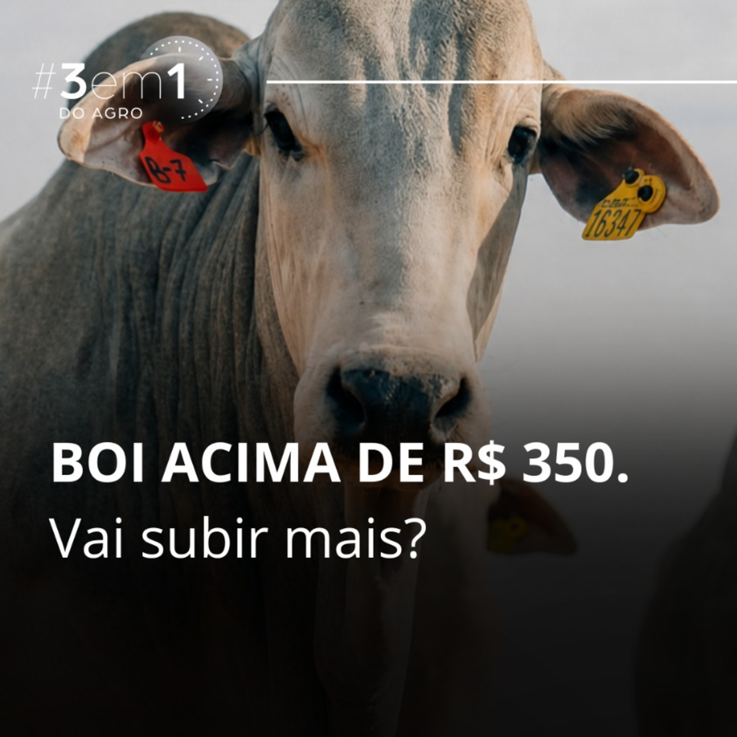 1029 - #3em1Agro - 31/07/26