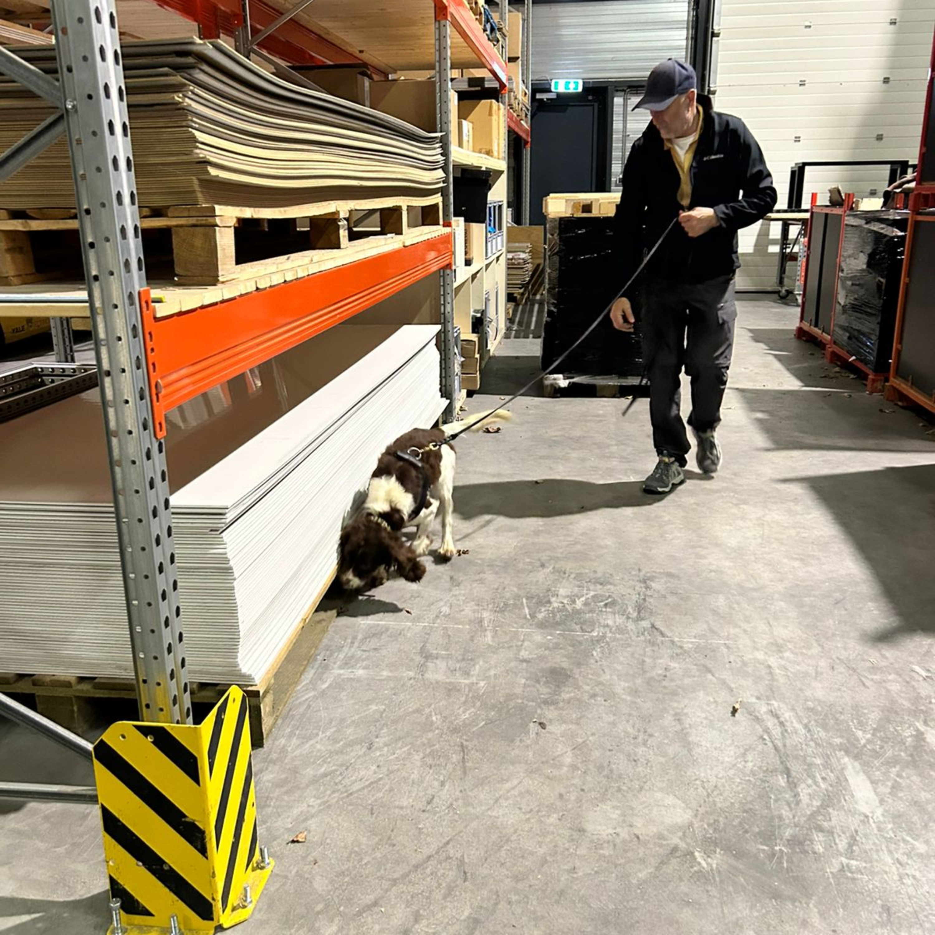 El entrenamiento de perros para cumplir sorprendentes metas y objetivos episode artwork