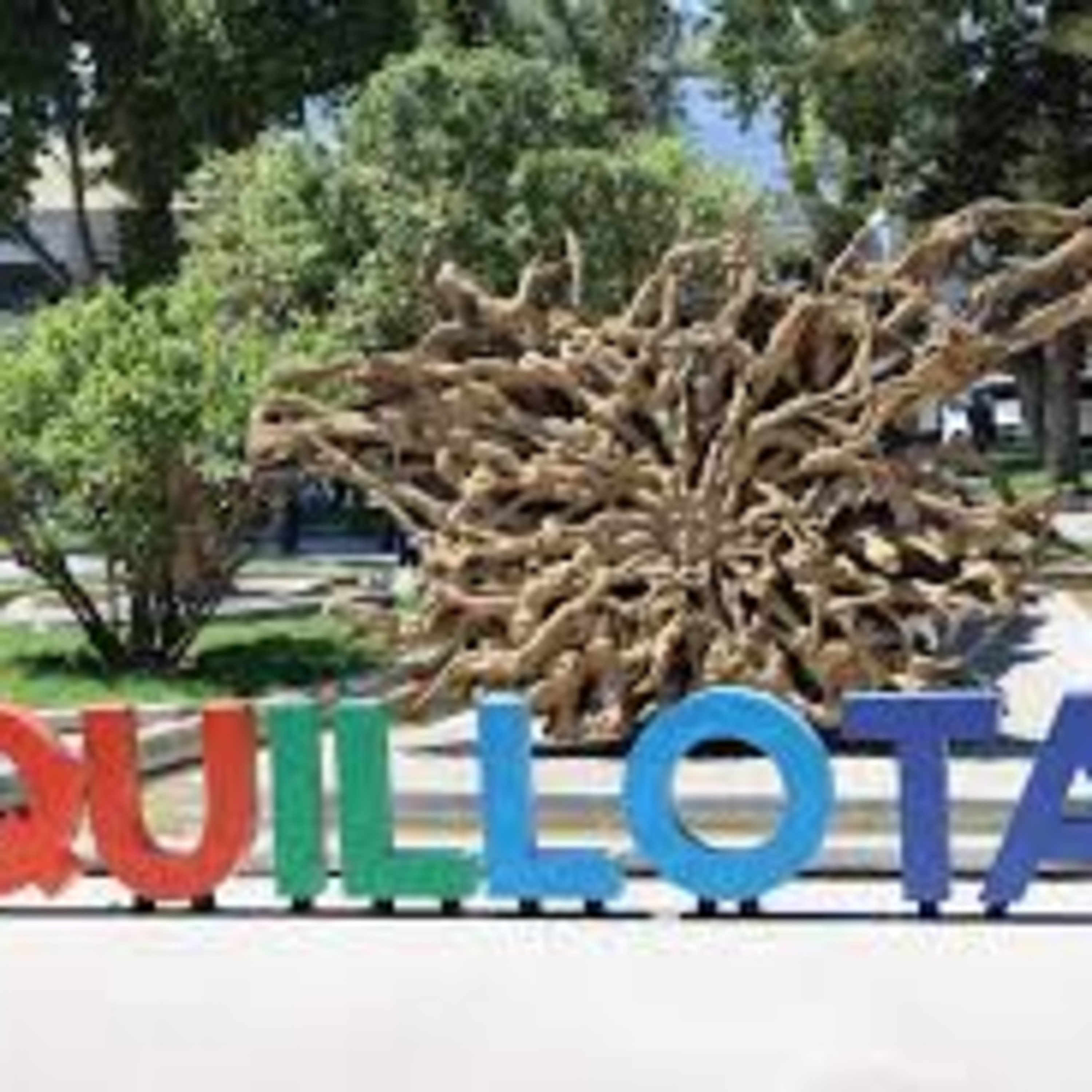Patricio Jofré pone en valor las propuestas turísticas de Quillota  episode artwork