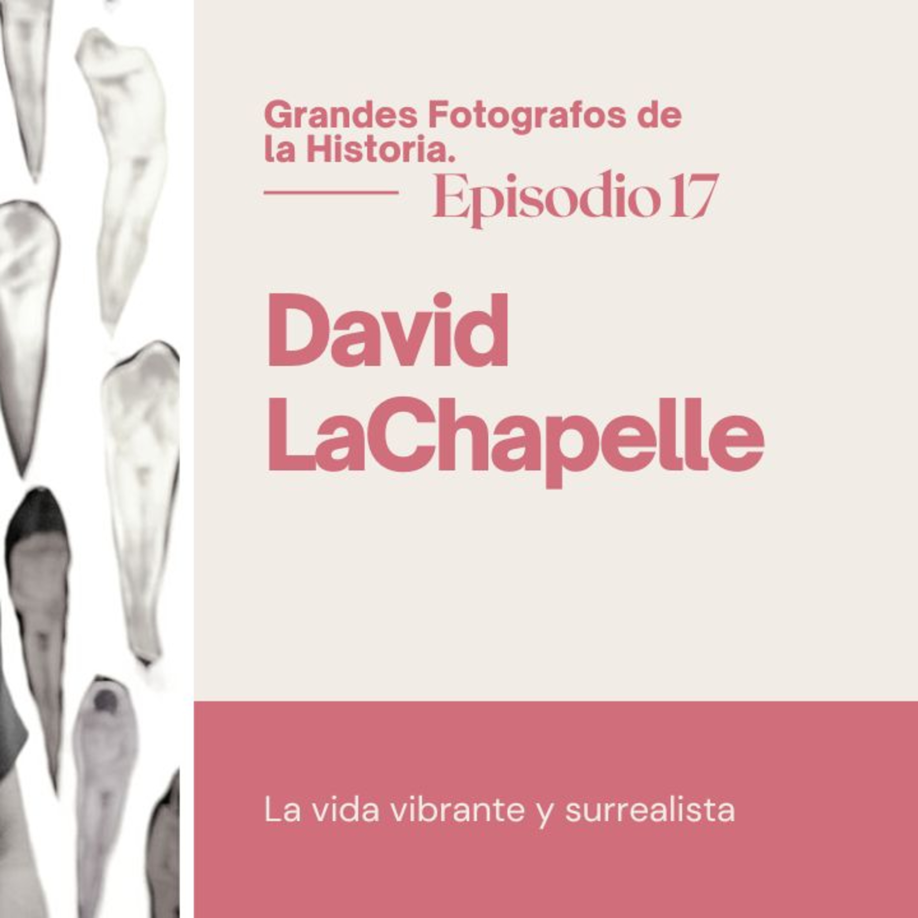 La vida vibrante y surrealista de David LaChapelle episode artwork