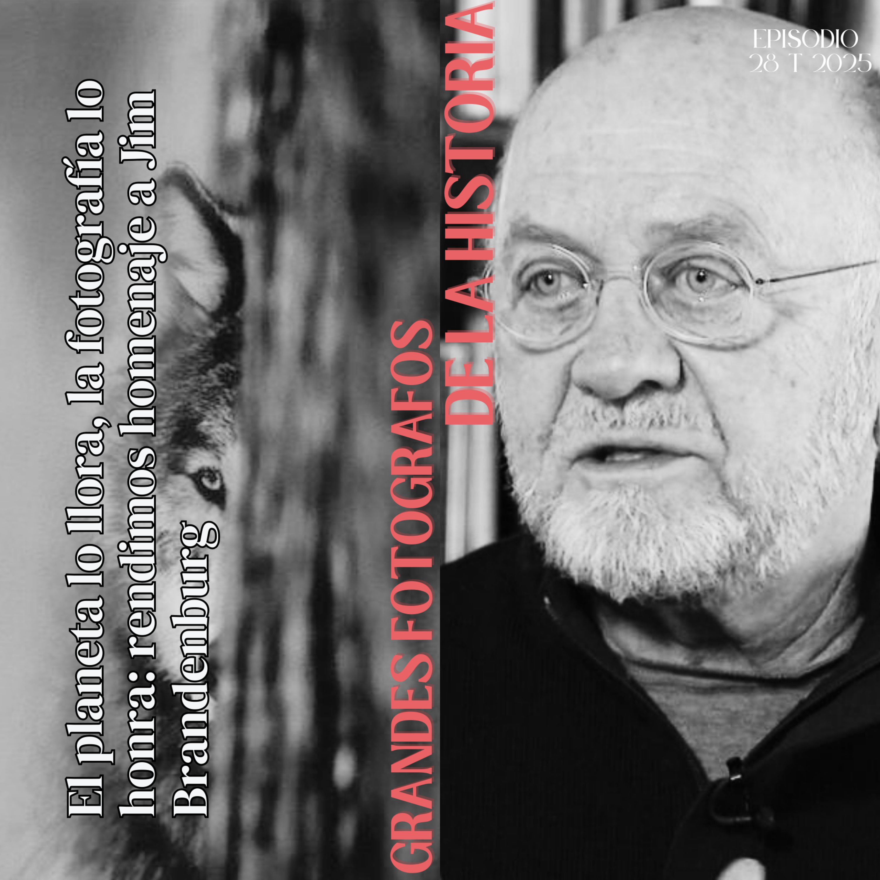 El planeta lo llora, la fotografía lo honra: rendimos homenaje a Jim Brandenburg episode artwork