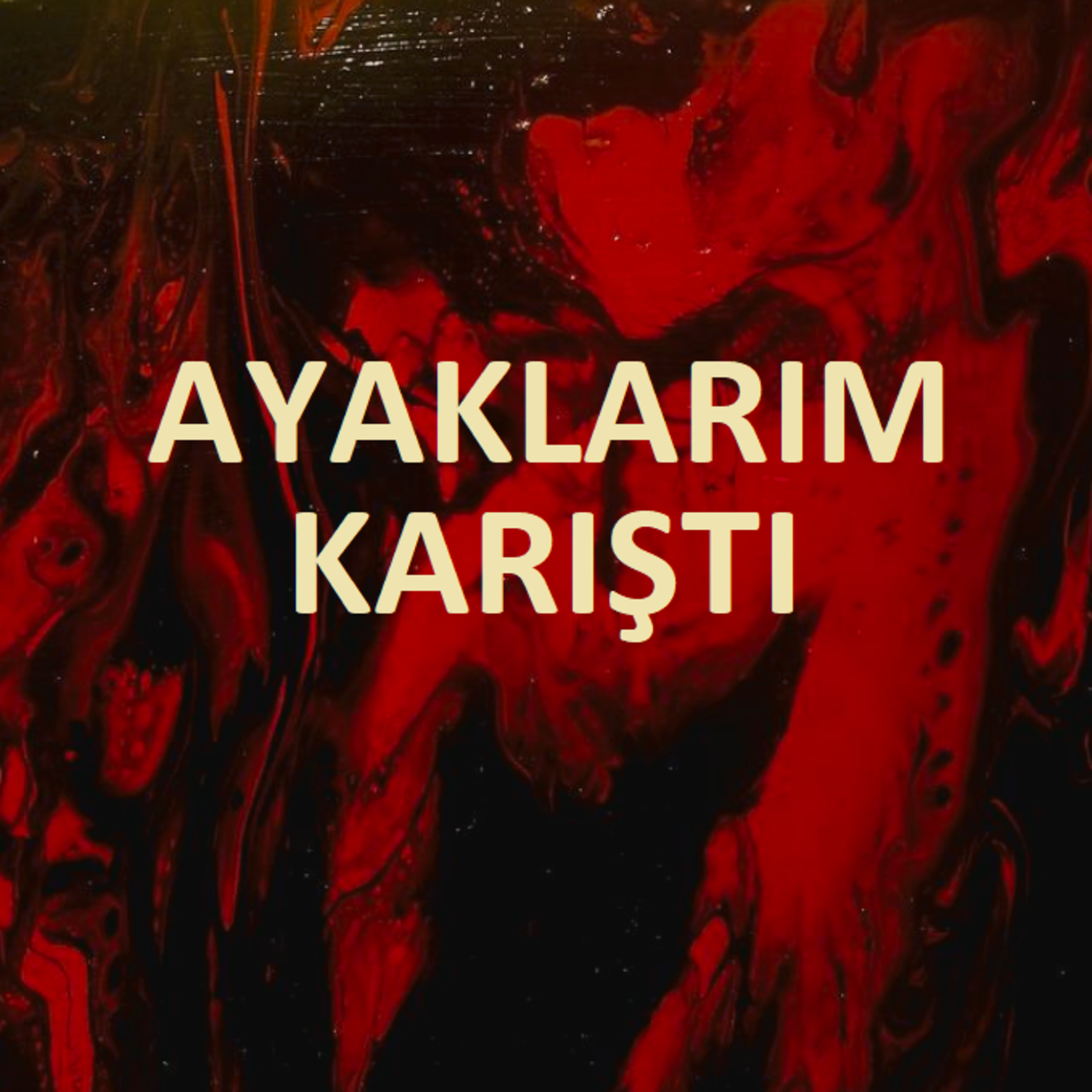 Tuncay Saran