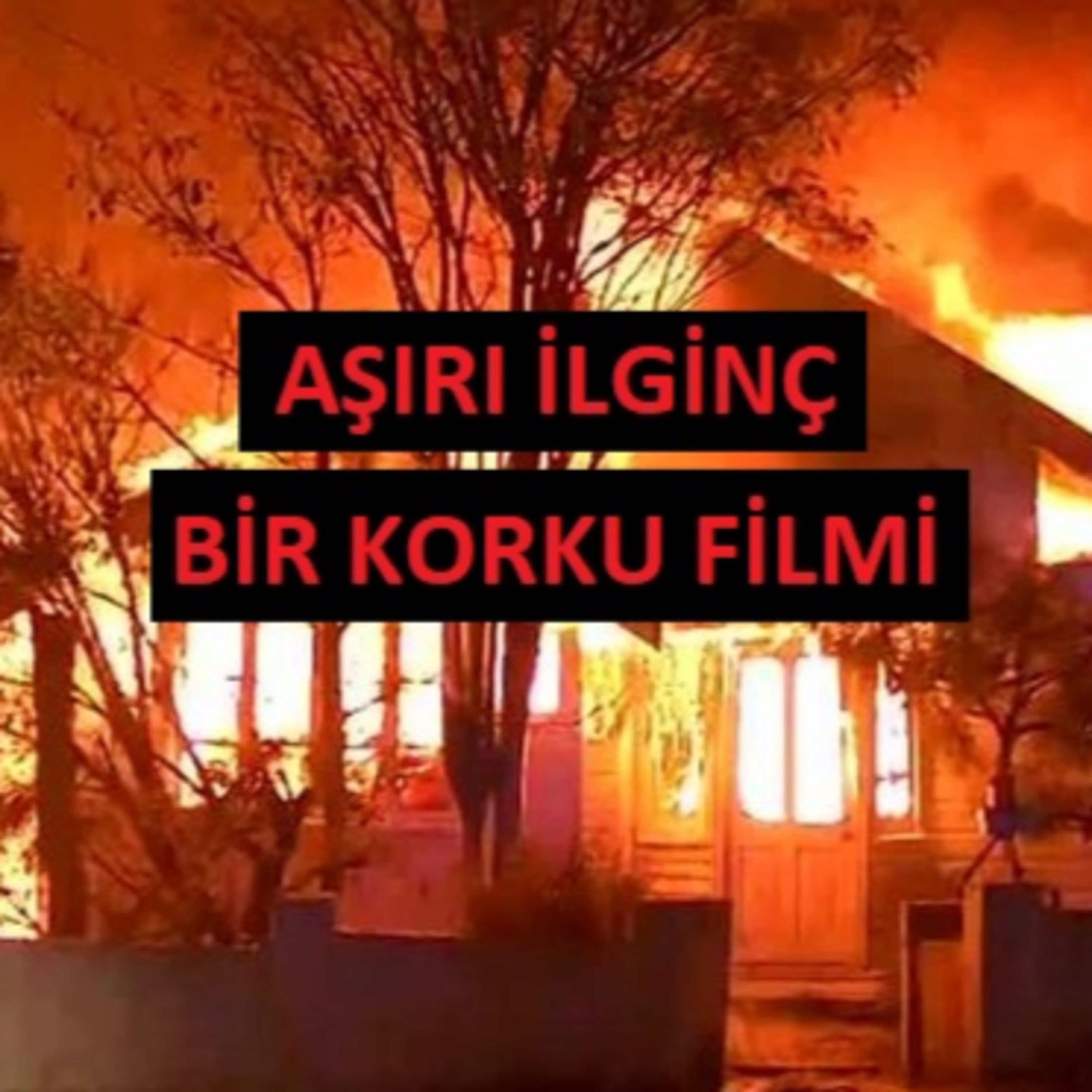 Tuncay Saran