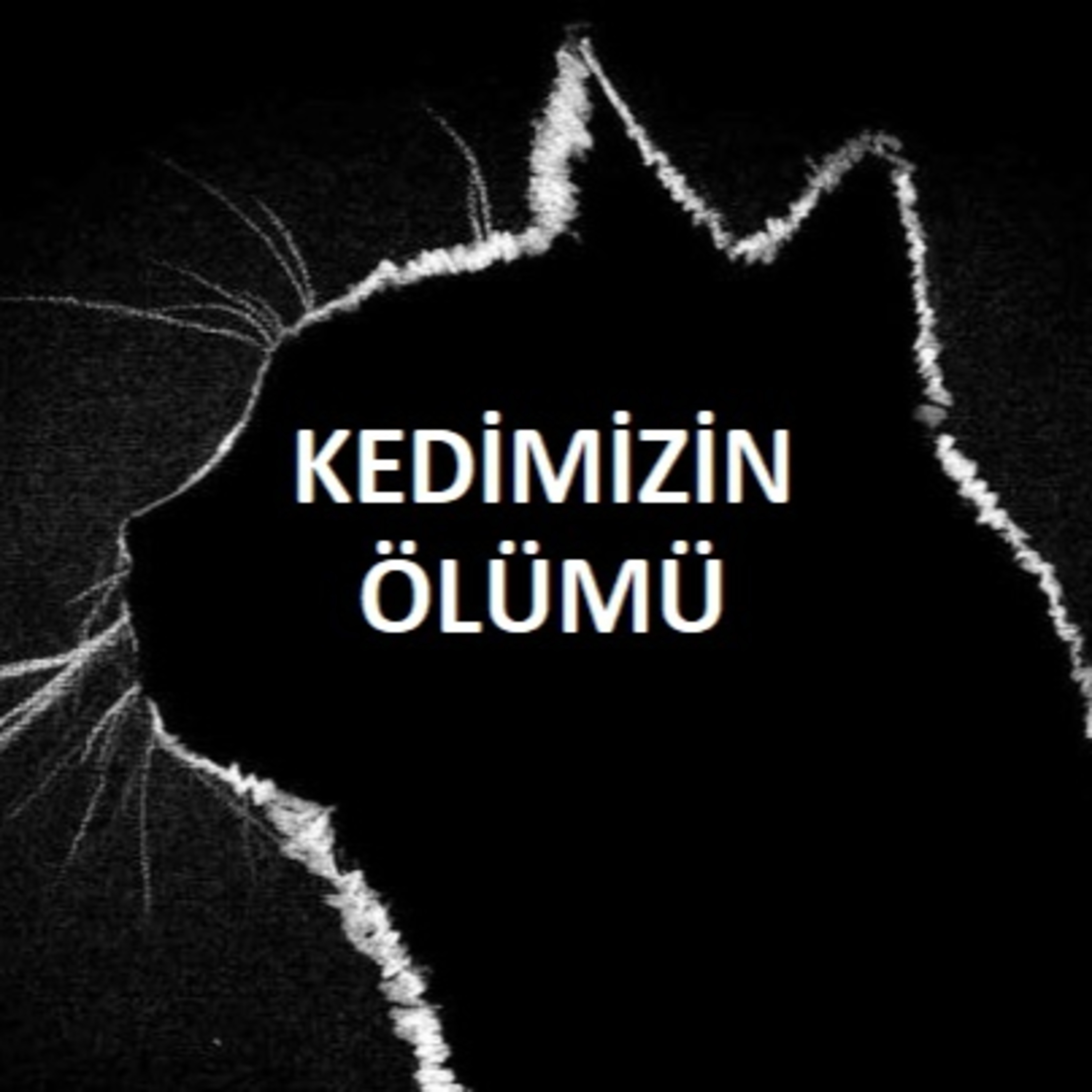 Tuncay Saran