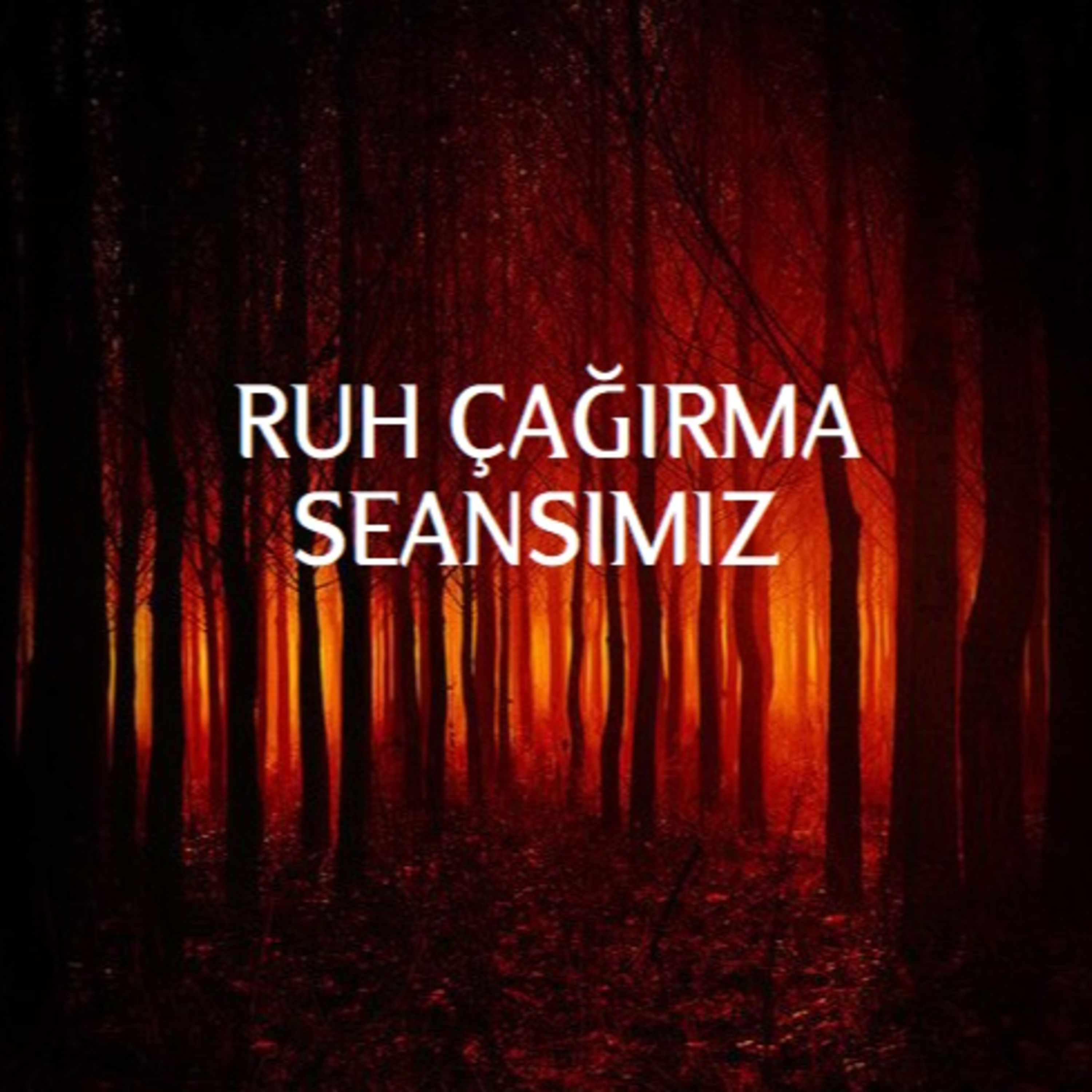 Tuncay Saran