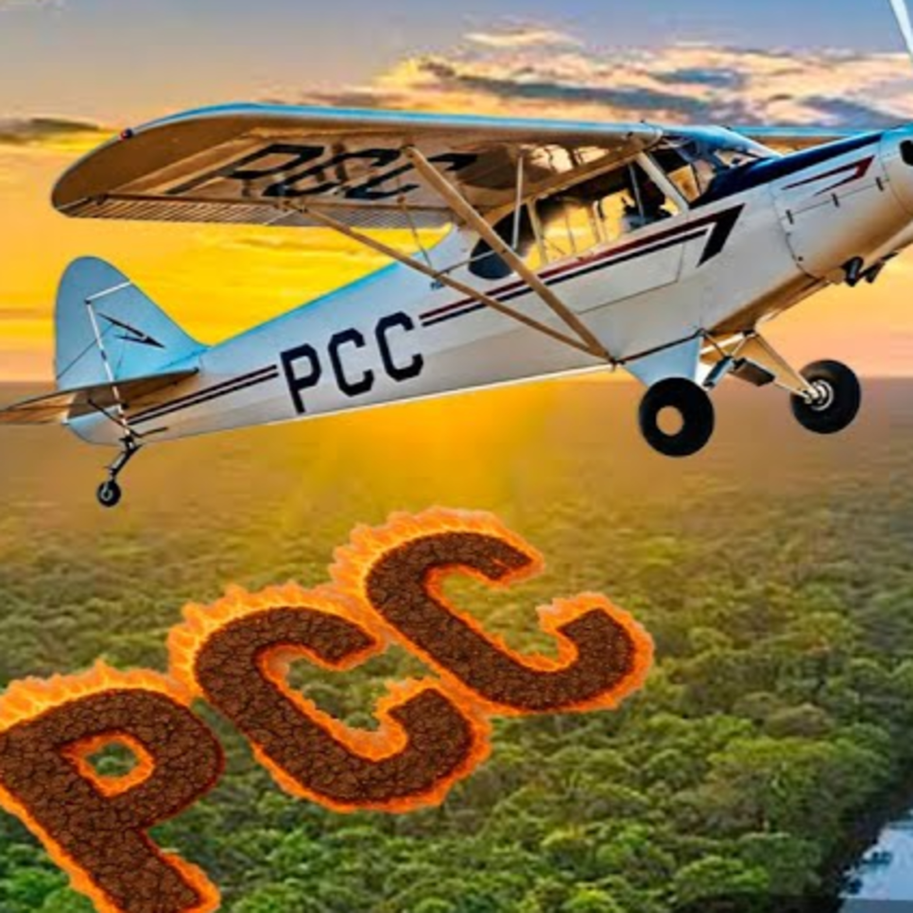 DOSSIÊ: A ATUAÇÃO DAS F4CÇÕ3S NA MAIOR FLORESTA DO MUNDO (C*V X P*C*C)