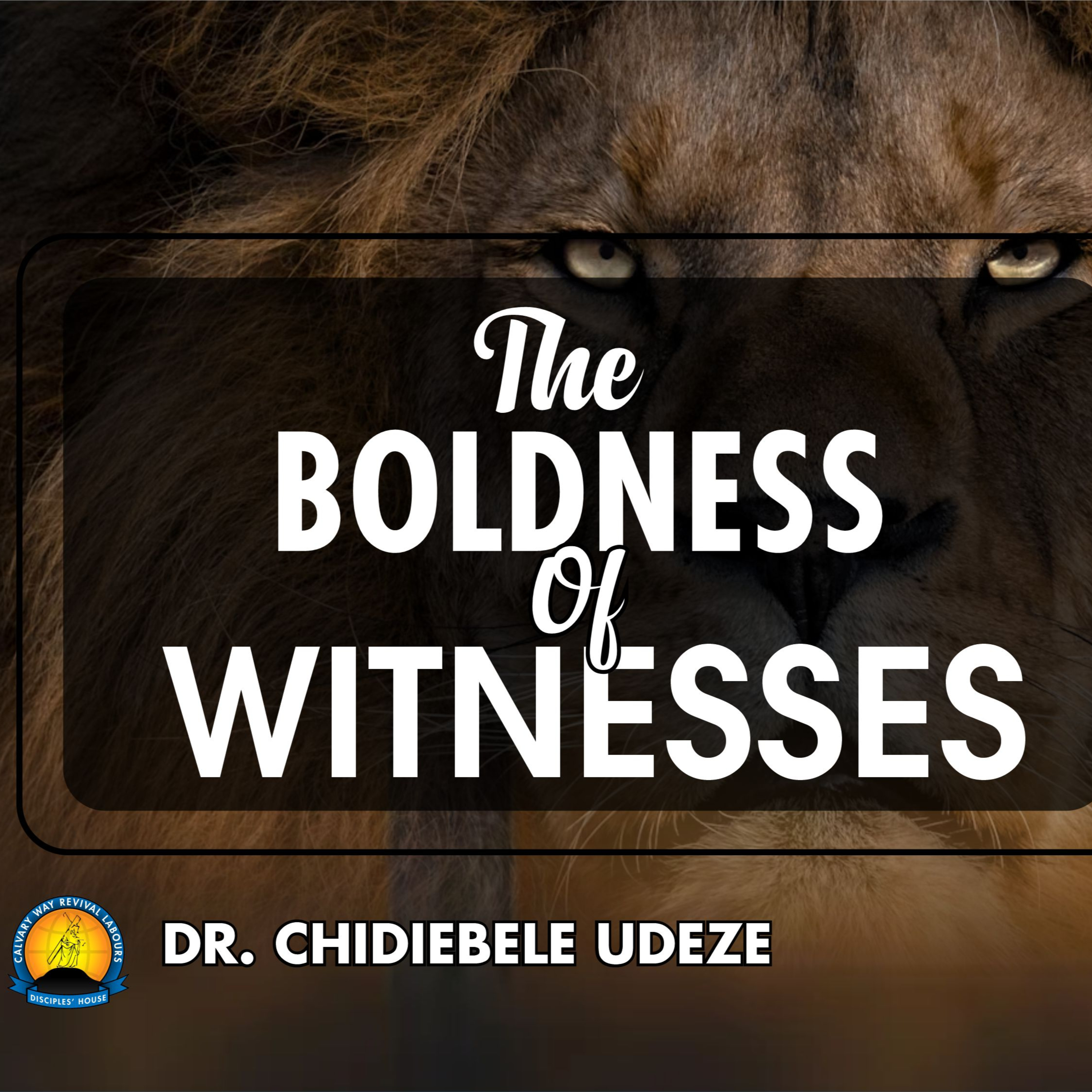 THE BOLDNESS OF WITNESSES - Dr. Chidiebele Udeze episode artwork