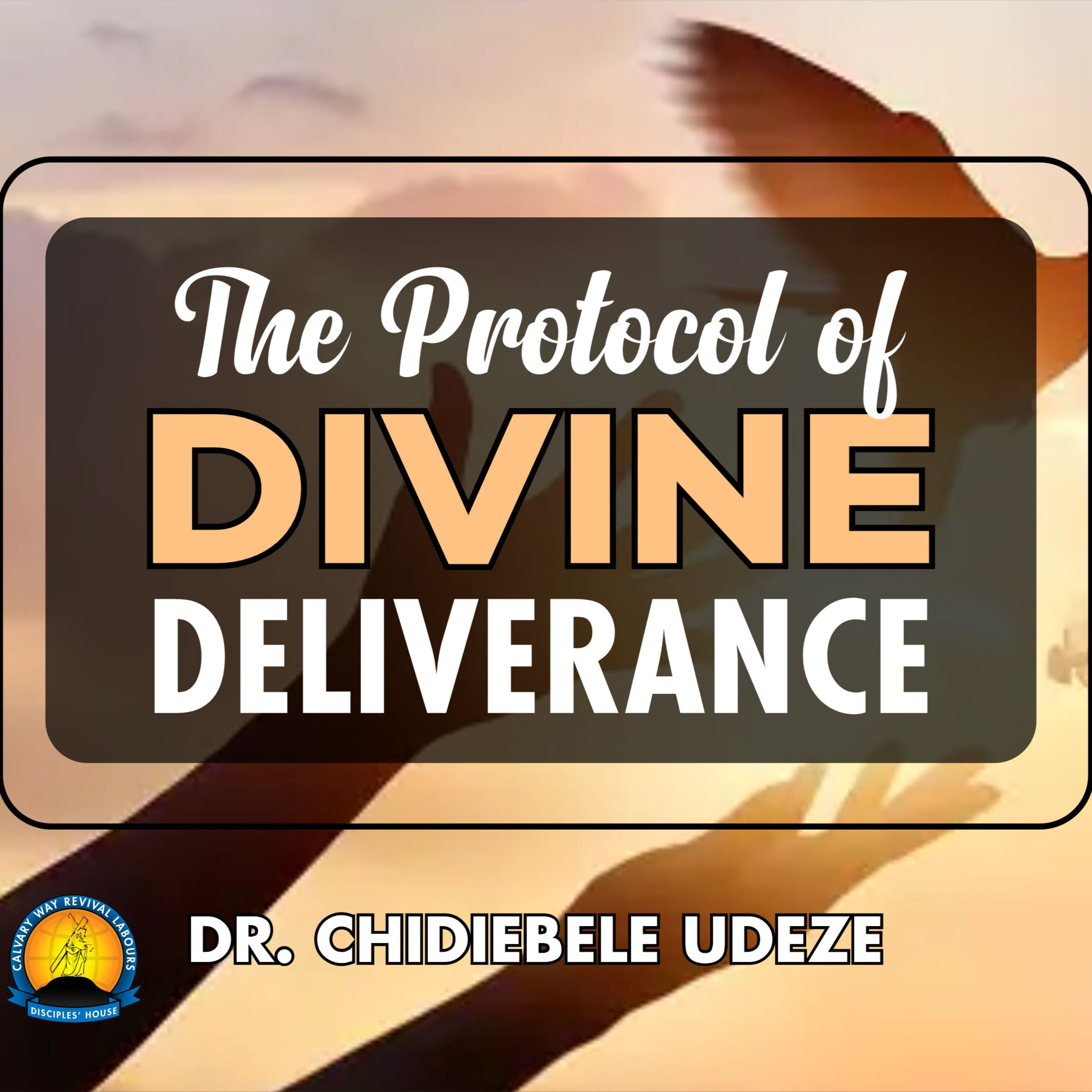 THE PROTOCOL OF DIVINE DELIVERANCE - Dr. Chidiebele Udeze episode artwork