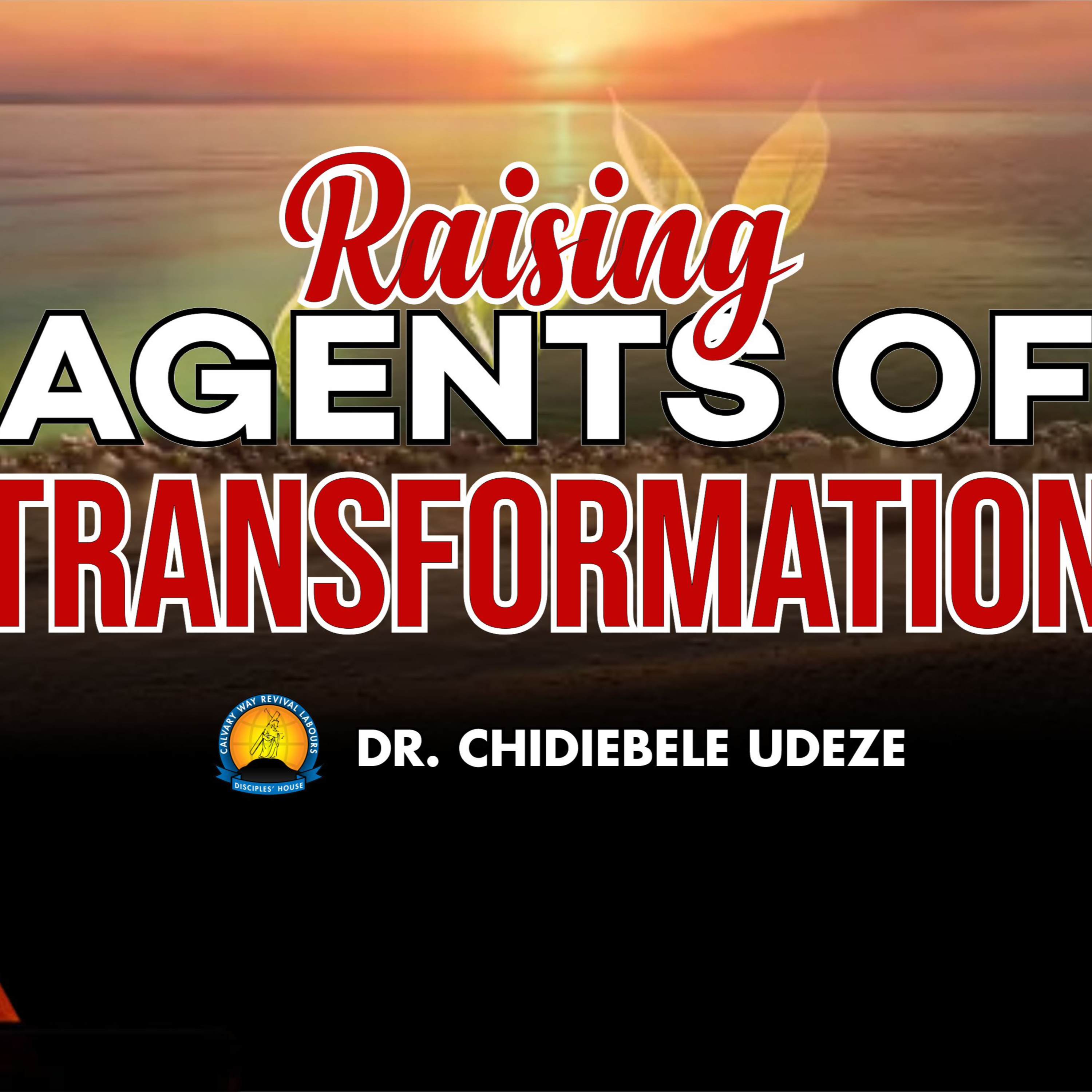 RAISING AGENTS OF TRANSFORMATION || Dr. Chidiebele Udeze episode artwork