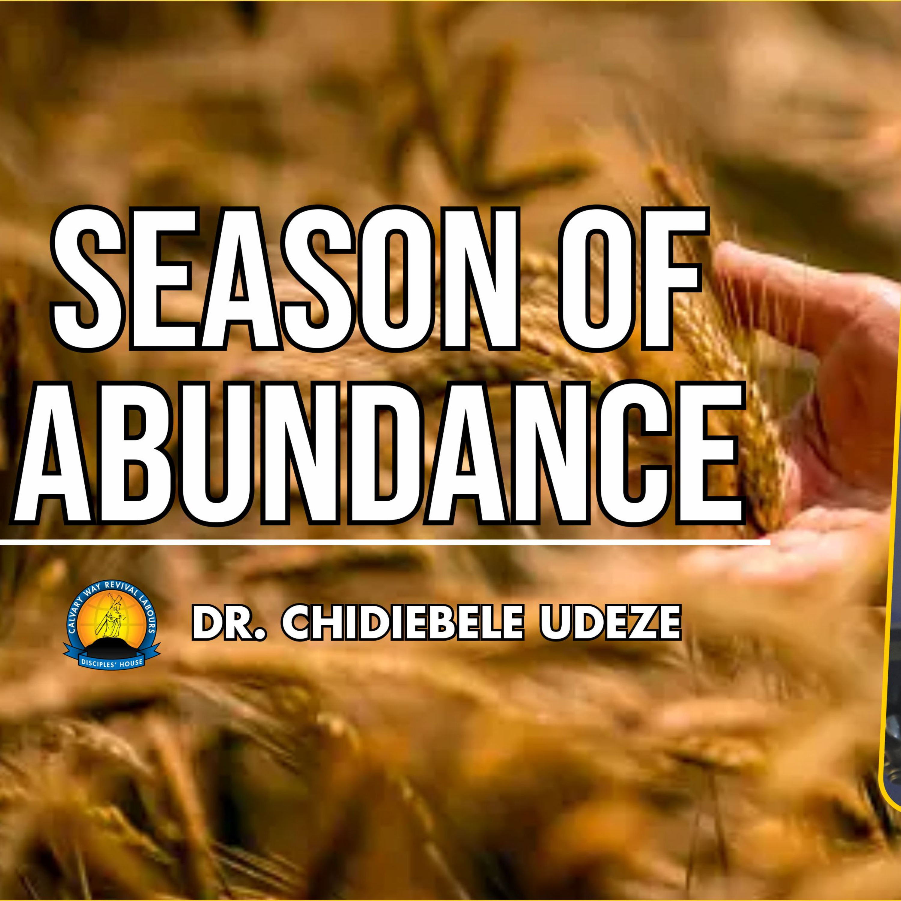 SEASON OF ABUNDANCE - Dr. Chidiebele Udeze episode artwork