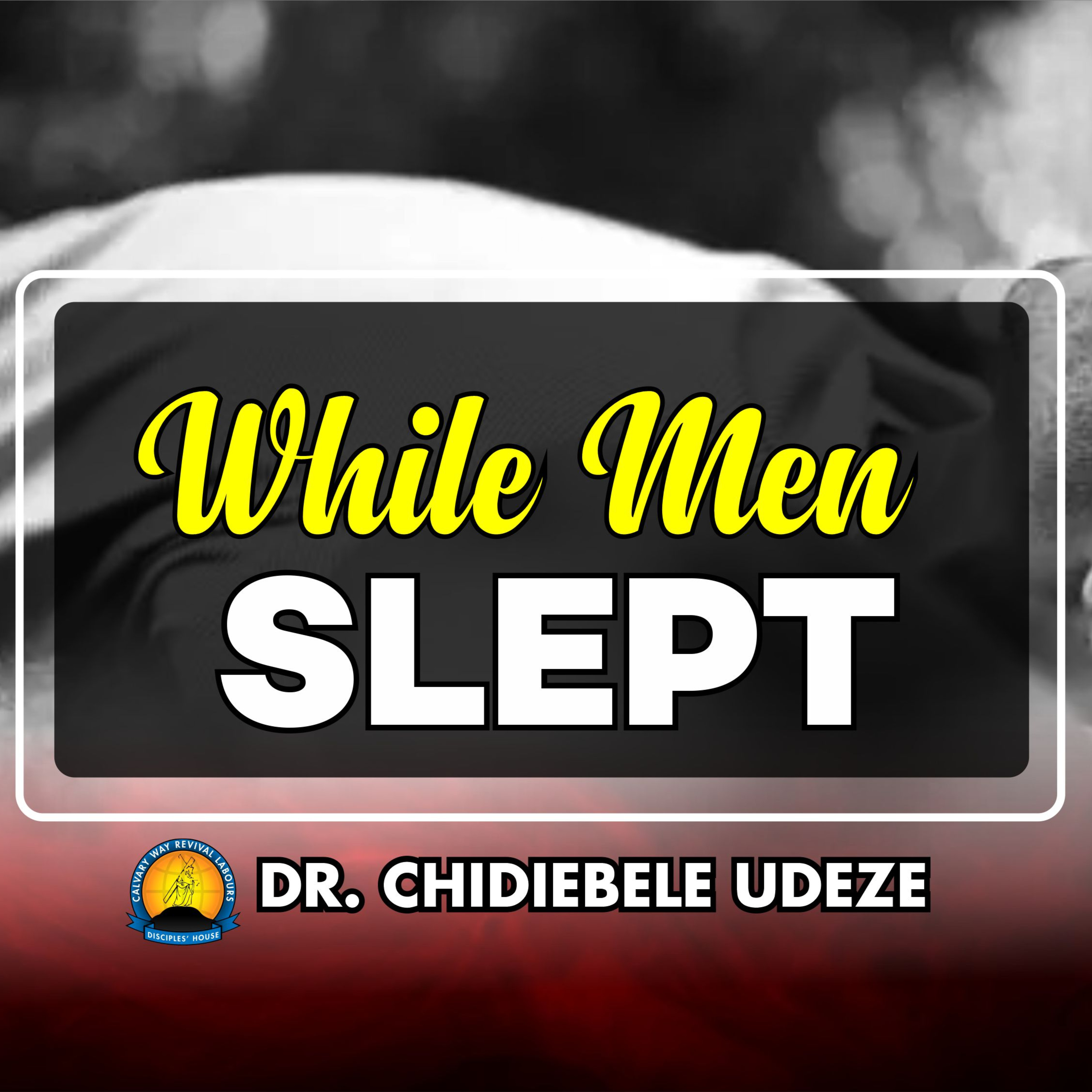 WHILE MEN SLEPT - Dr. Chidiebele Udeze episode artwork