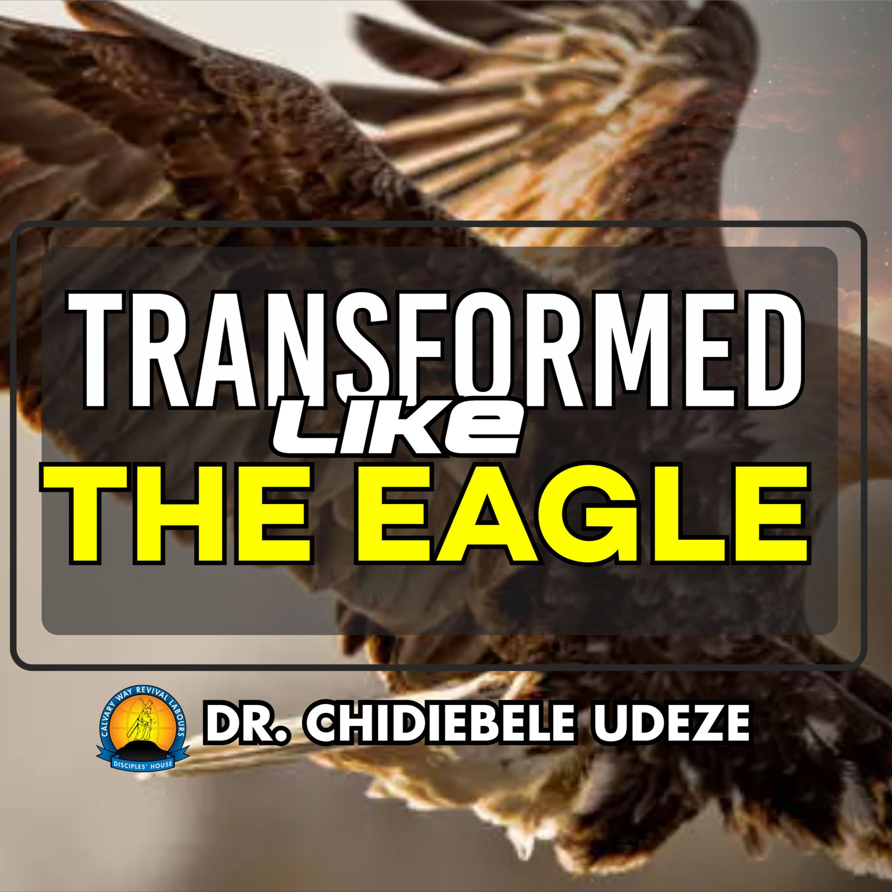 TRANSFORMED LIKE THE EAGLE - Dr. Chidiebele Udeze episode artwork
