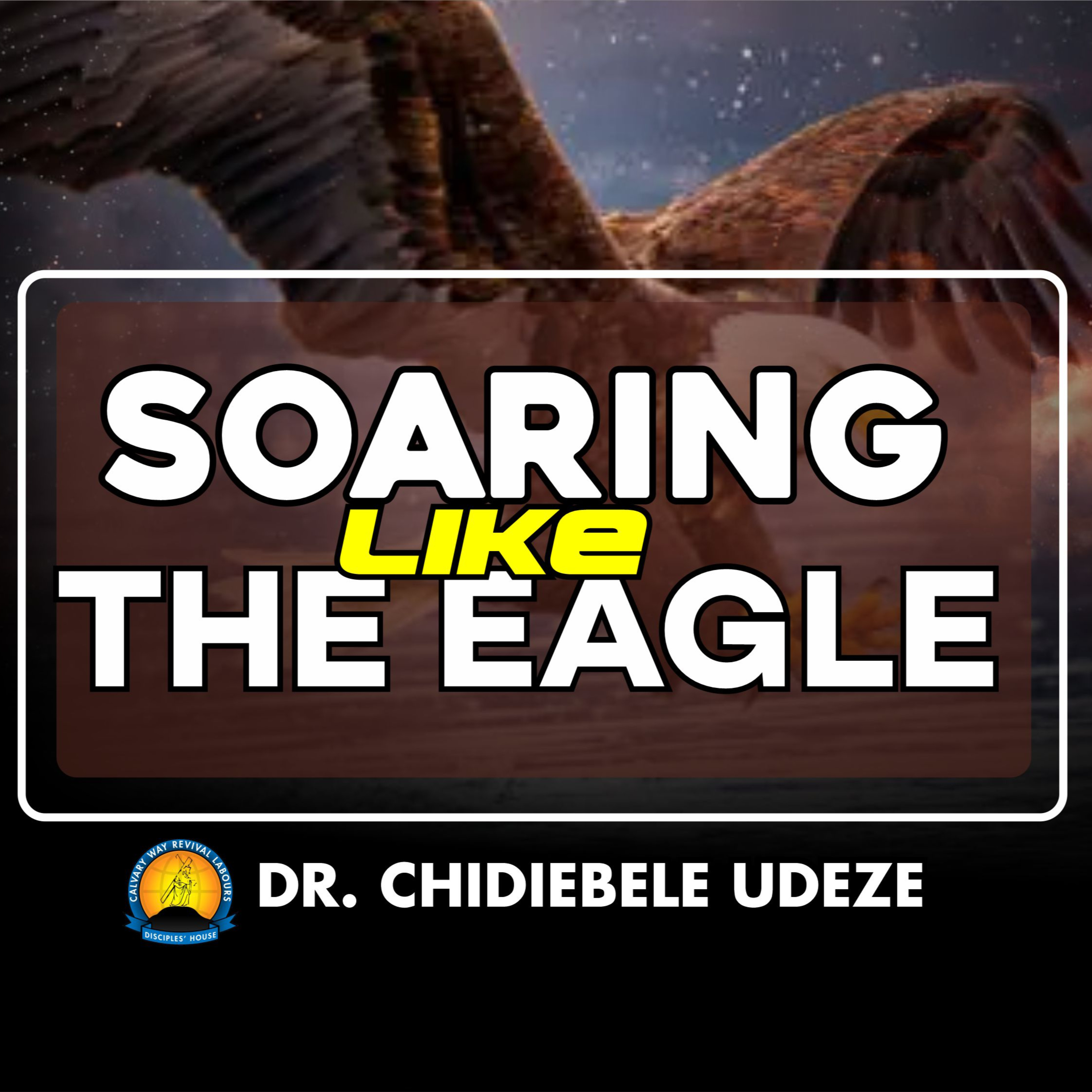 SOARING LIKE THE EAGLE - Dr. Chidiebele Udeze episode artwork
