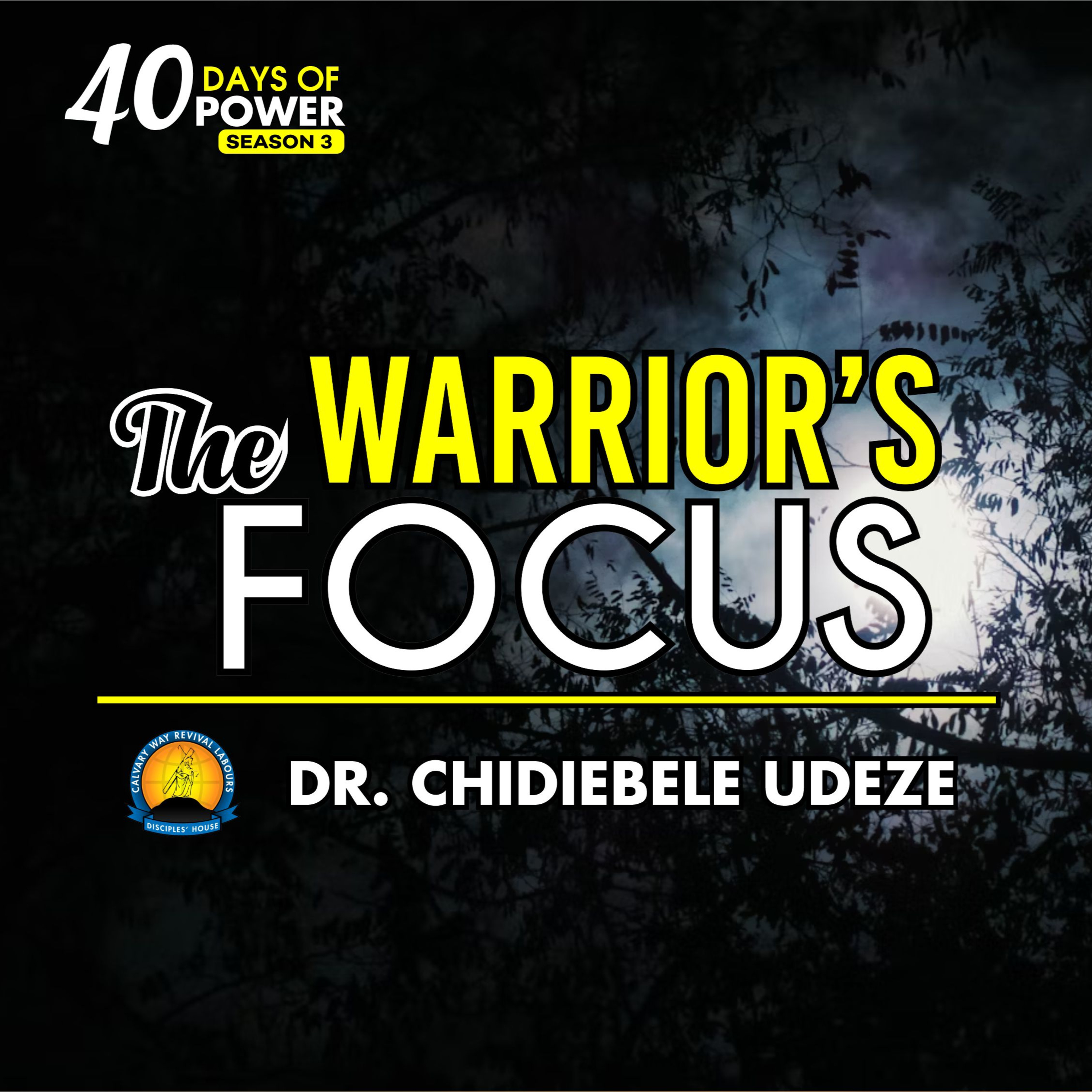 THE WARRIOR'S FOCUS - Dr. Chidiebele Udeze episode artwork