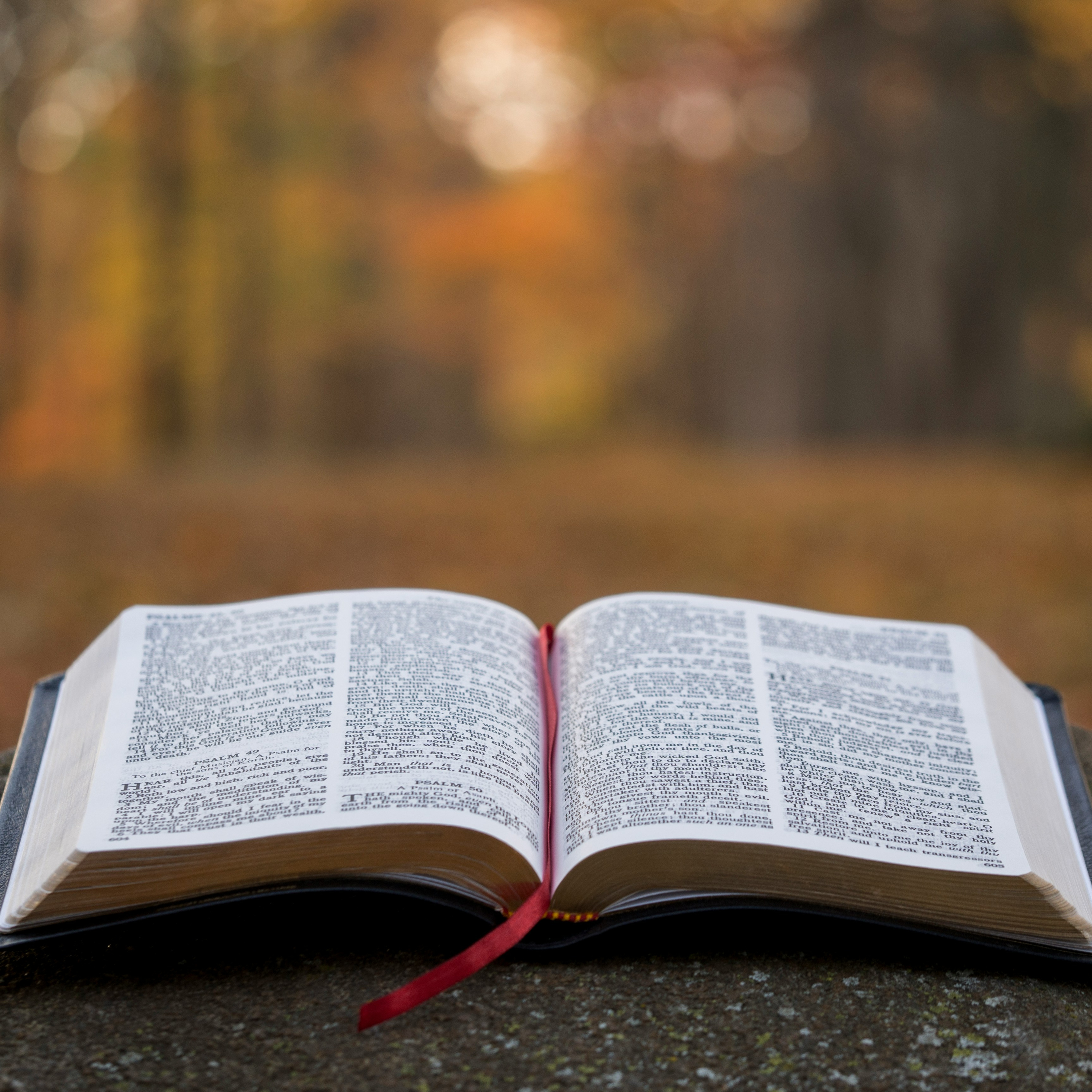THE TRANSFORMATION POWER OF GOD'S WORD - Dr. Chidiebele Udeze episode artwork