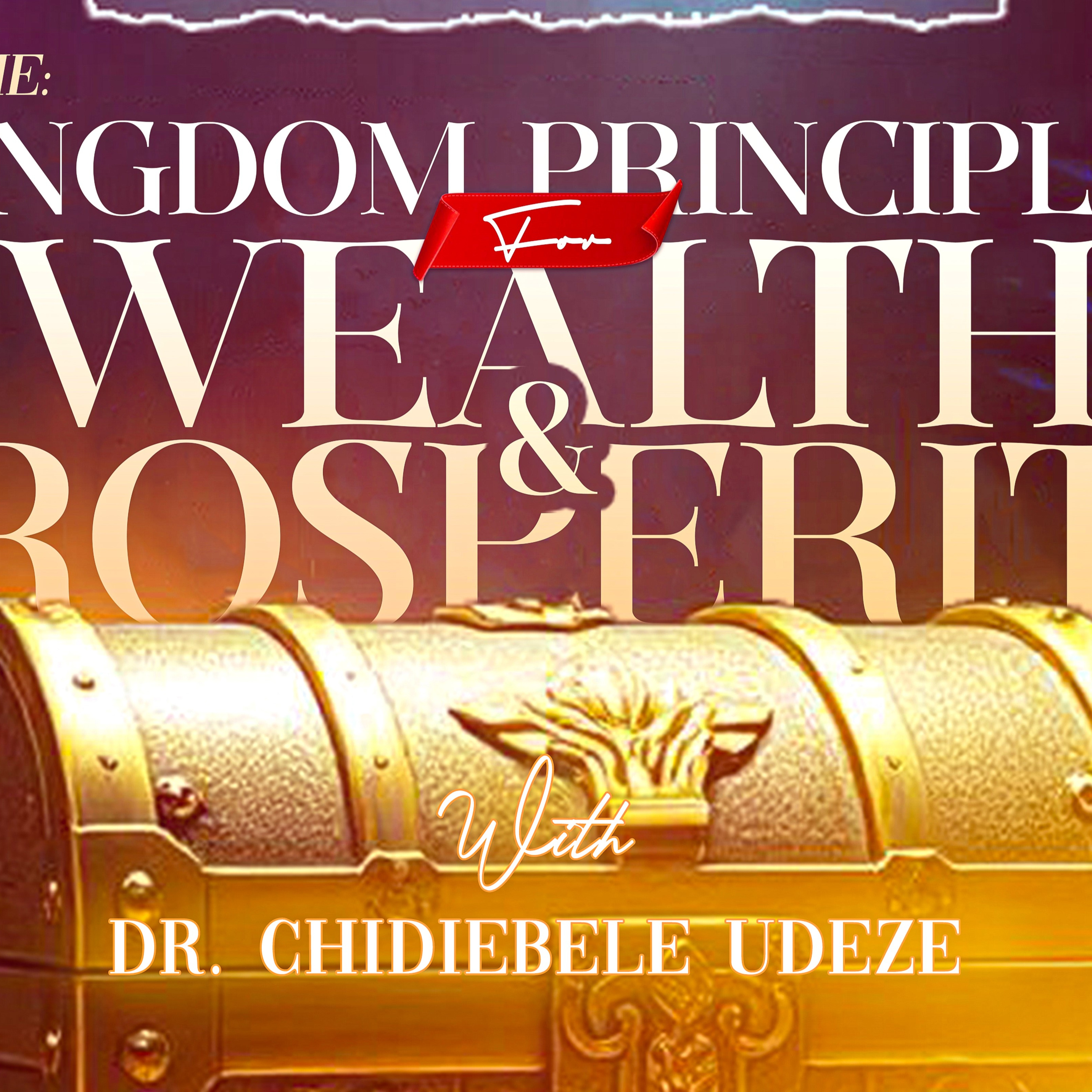 KINGDOM PRINCIPLES FOR WEALTH AND PROSPERITY PT. 2 - Dr. Chidiebele Udeze episode artwork