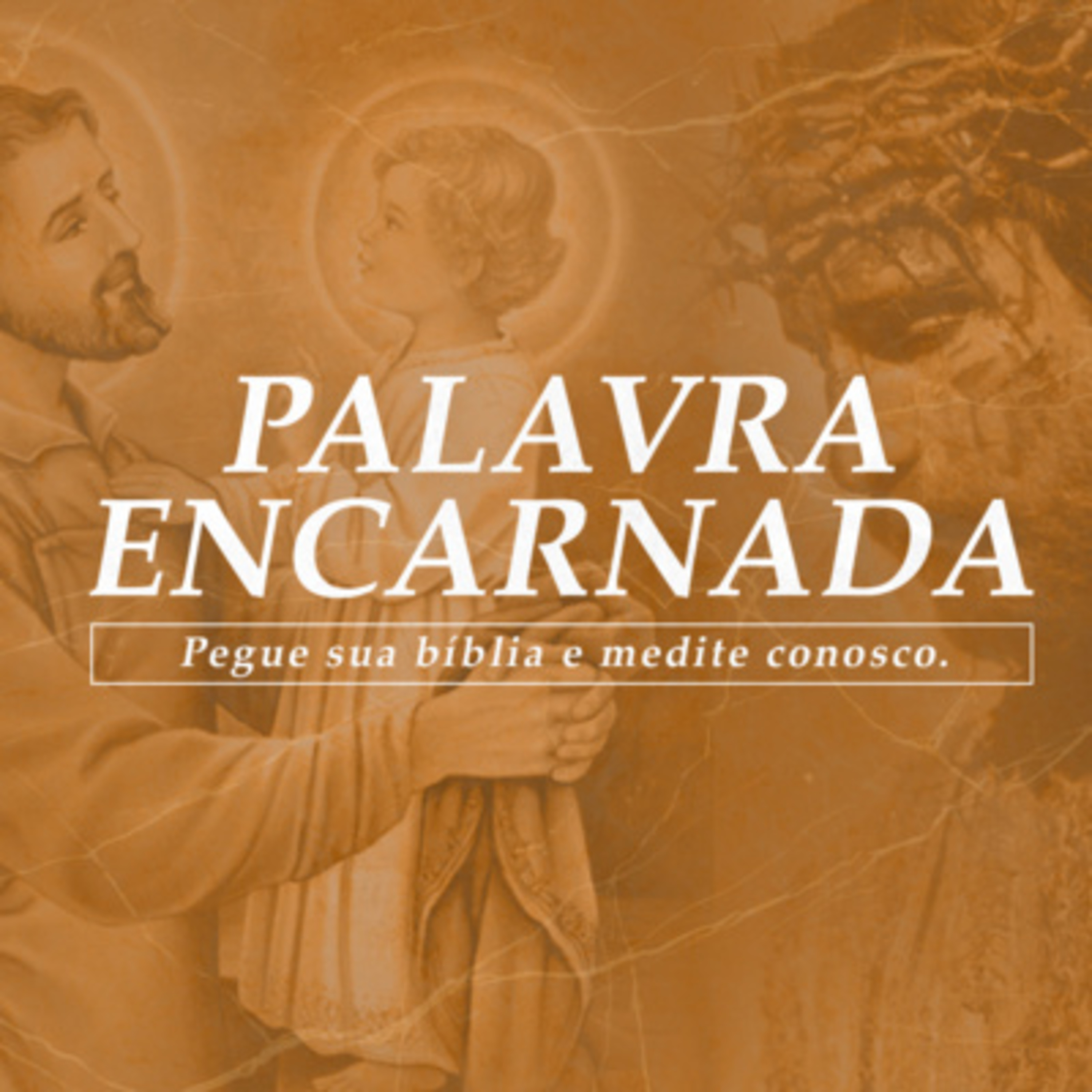 Palavra Encarnada 11/04/2024 - Meditação do Evangelho do Dia (Jo 3, 31-36) #1348 episode artwork