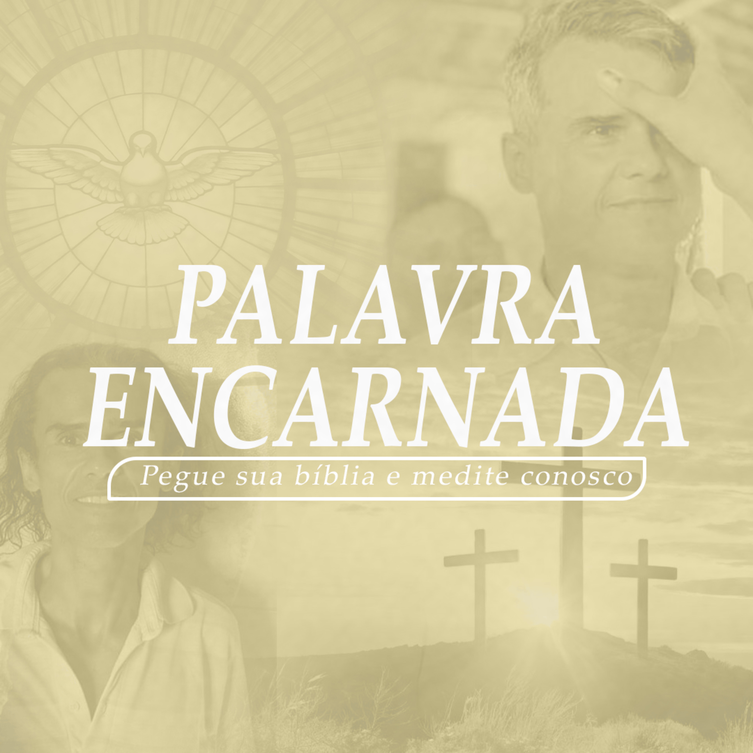 PALAVRA ENCARNADA - 05/ 04/2025. Meditação do Evangelho do dia. (Jo 7,40-53) episode artwork