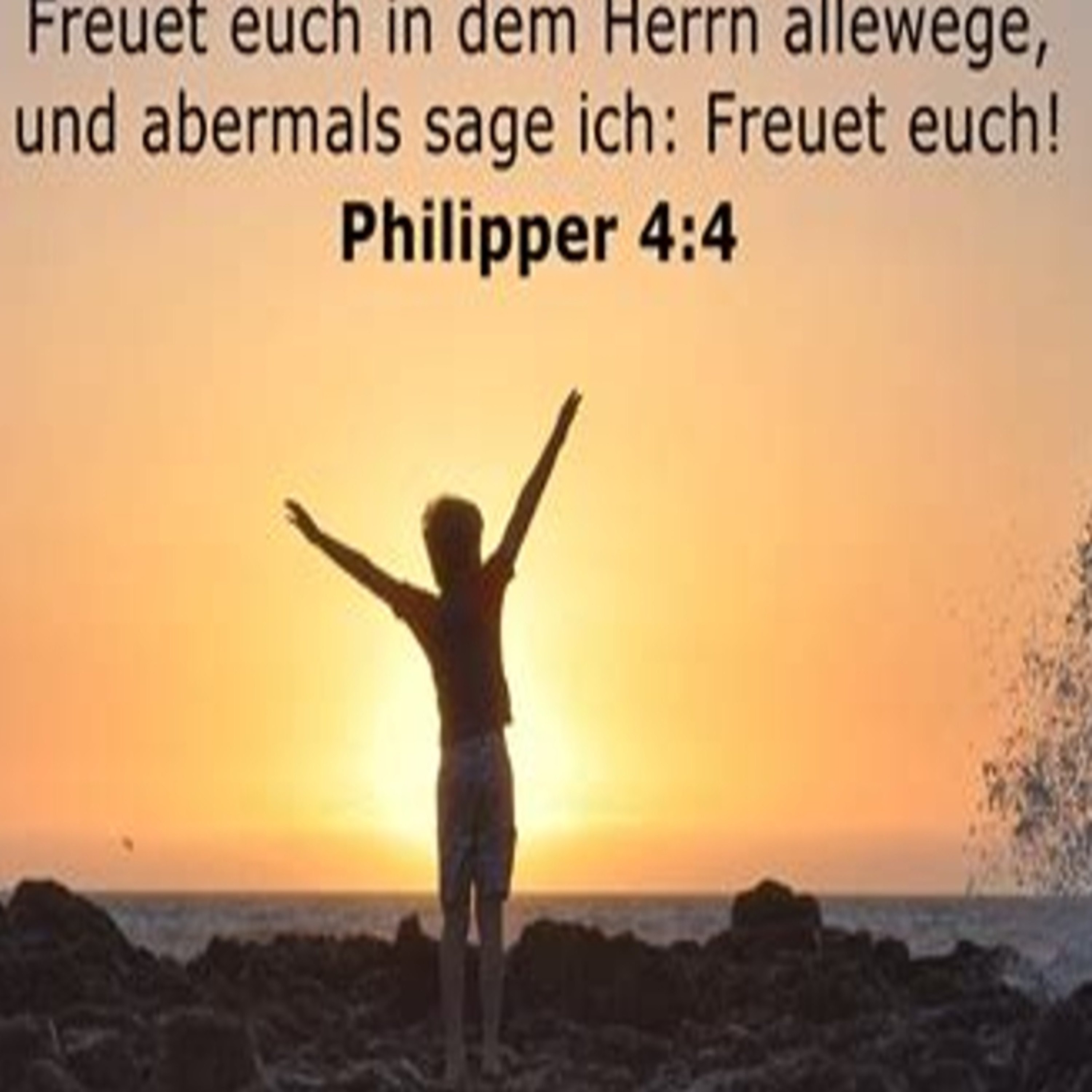Predigten aus unserer Gemeinde
