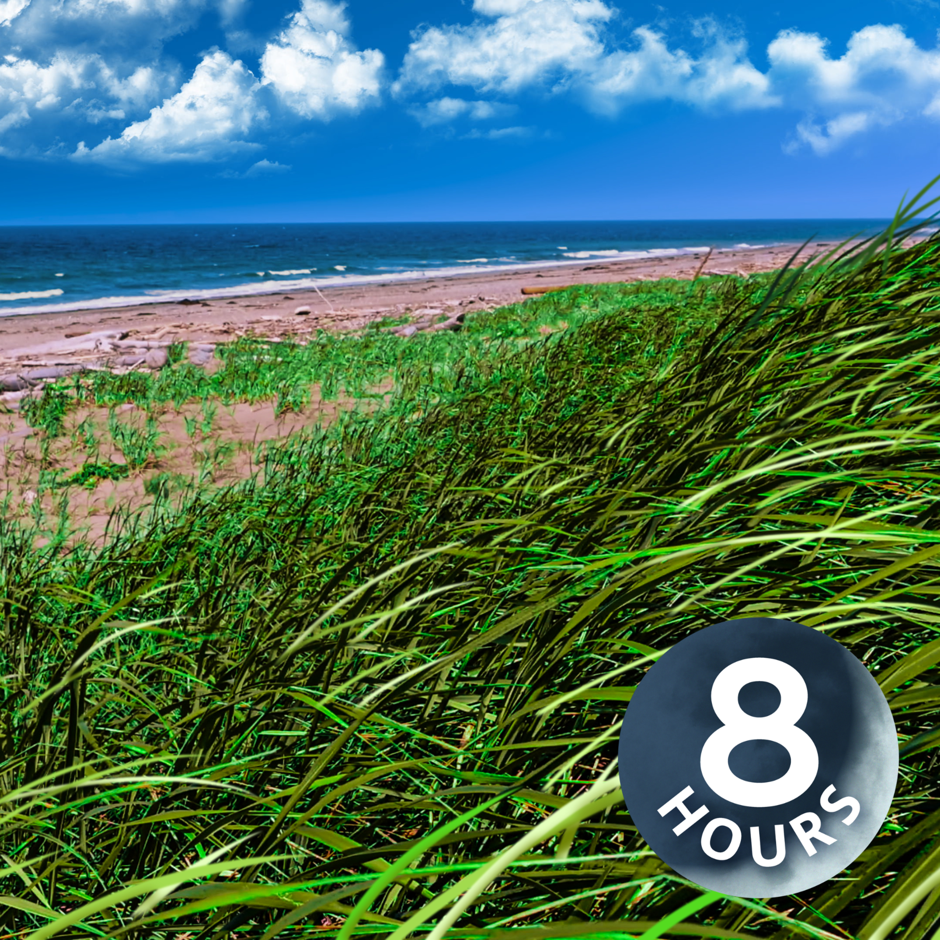 Ocean Waves and Gentle Breeze 8 Hours | Listen To Calm Your Mind & Relax