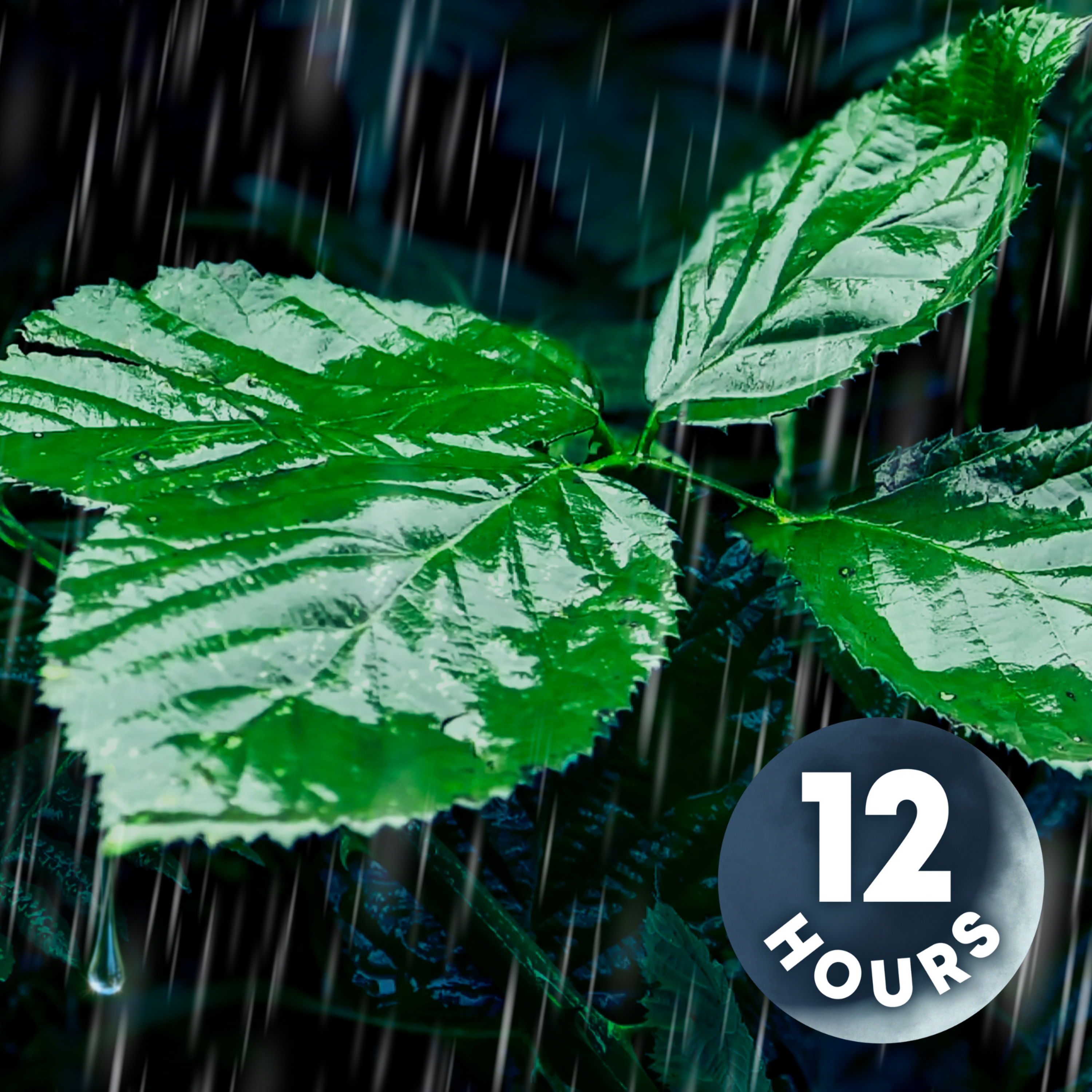 Relaxing Rain Noise for Sleep, Relaxation, & Total Tranquility 12-Hours