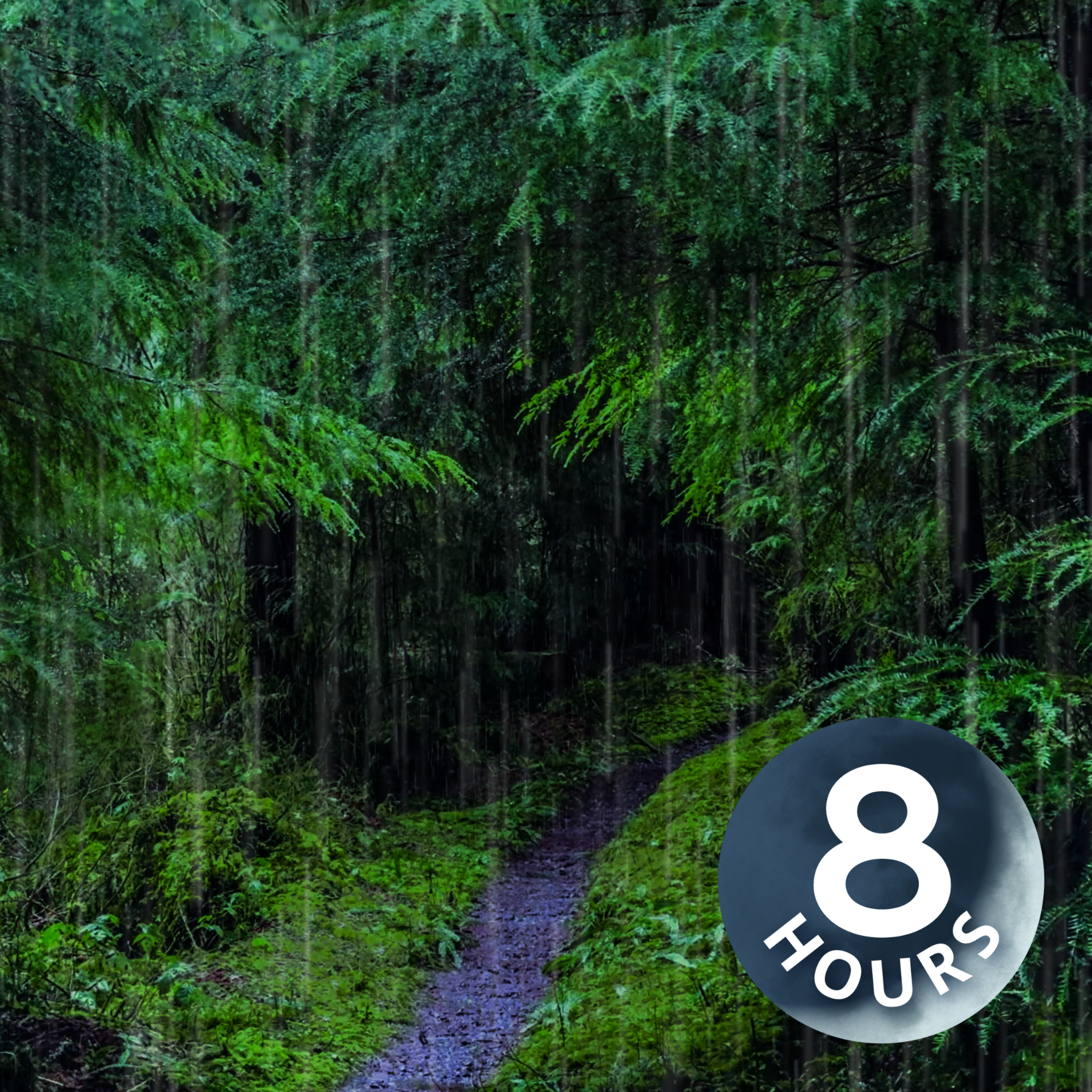 Rain Sounds for Sleep in Relaxing Rainforest | 8 Hours