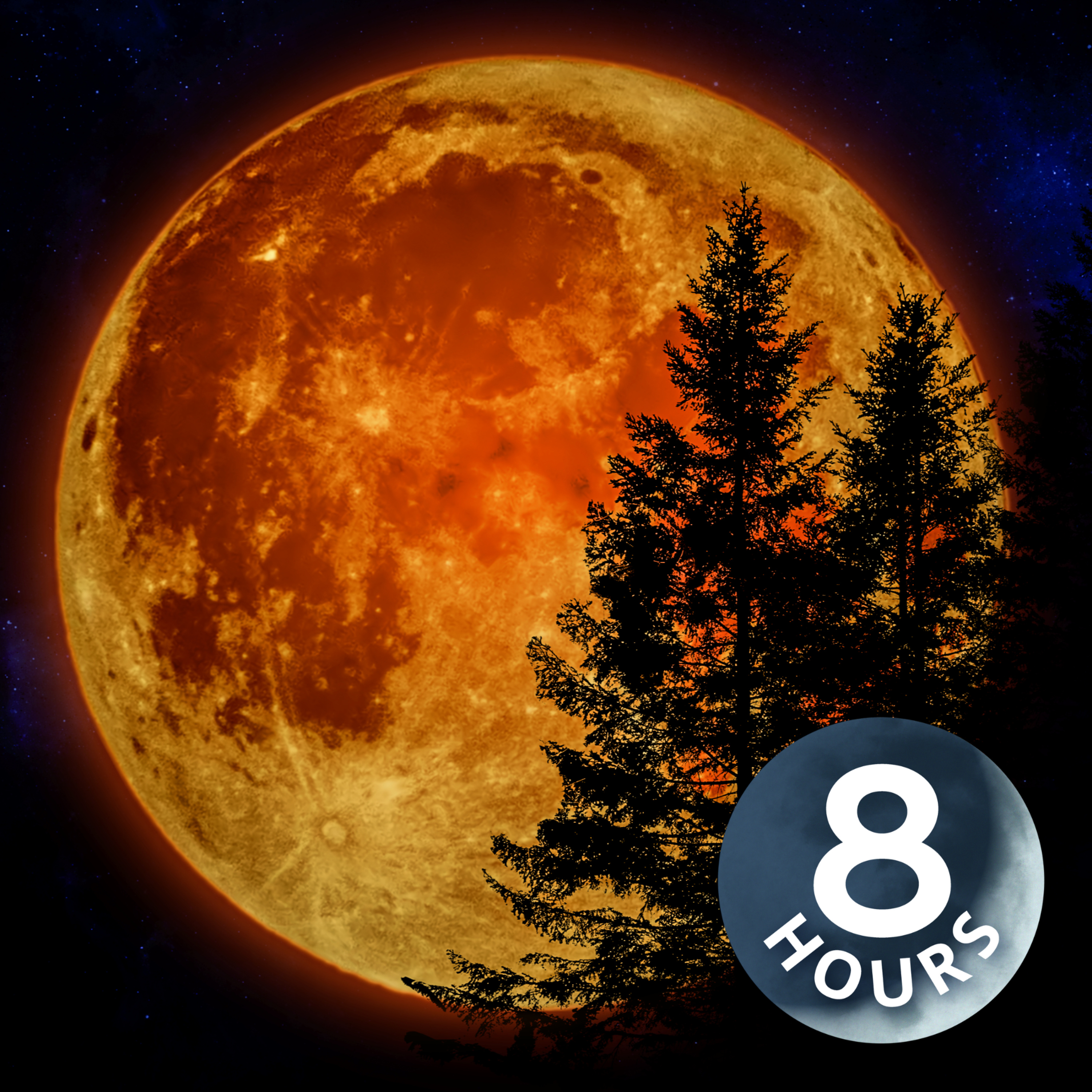 White Noise for Sleeping 8 Hours | Perfect for Autumn!