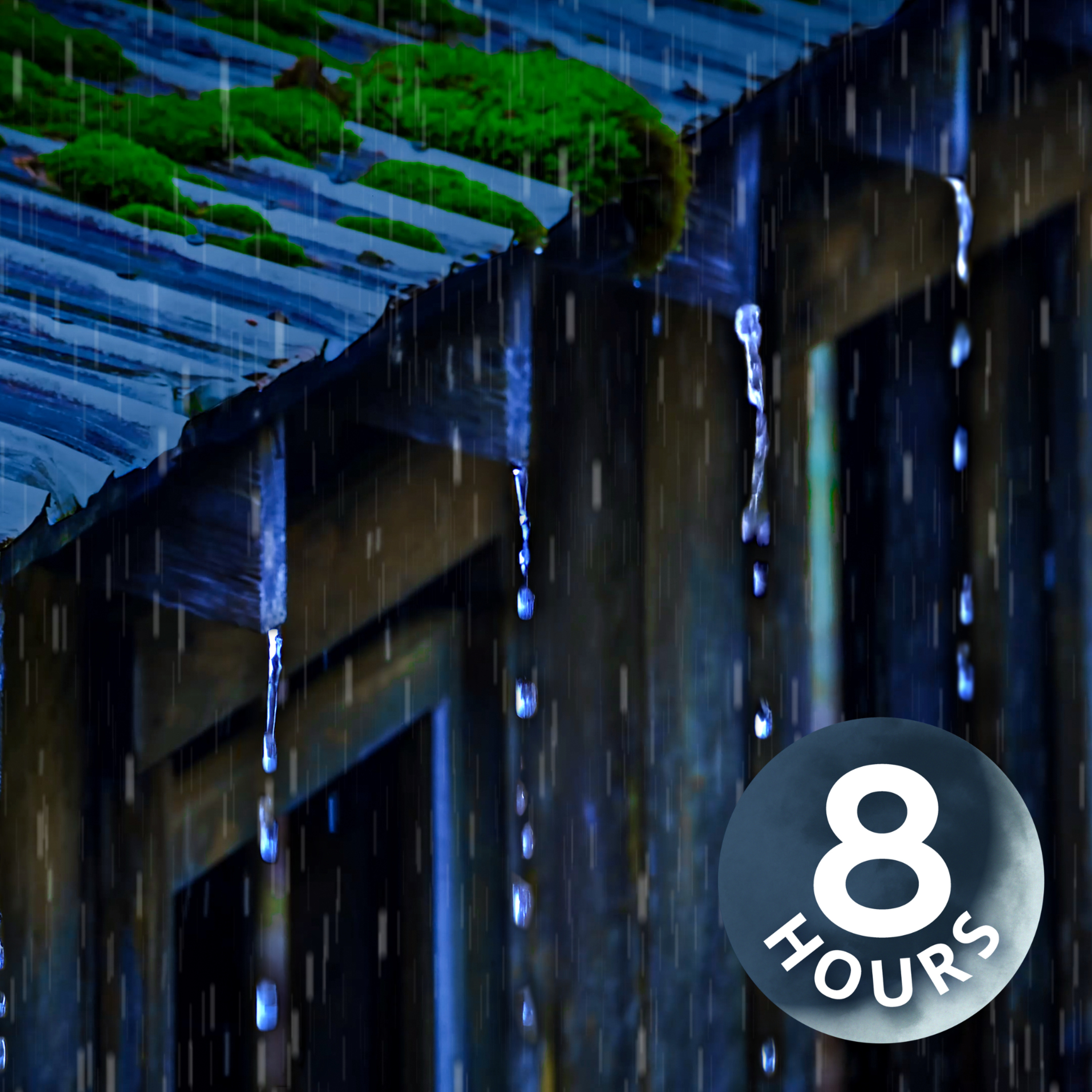 Fall Asleep & Relax with Rain Noise on a Tin Roof | 8 Hours