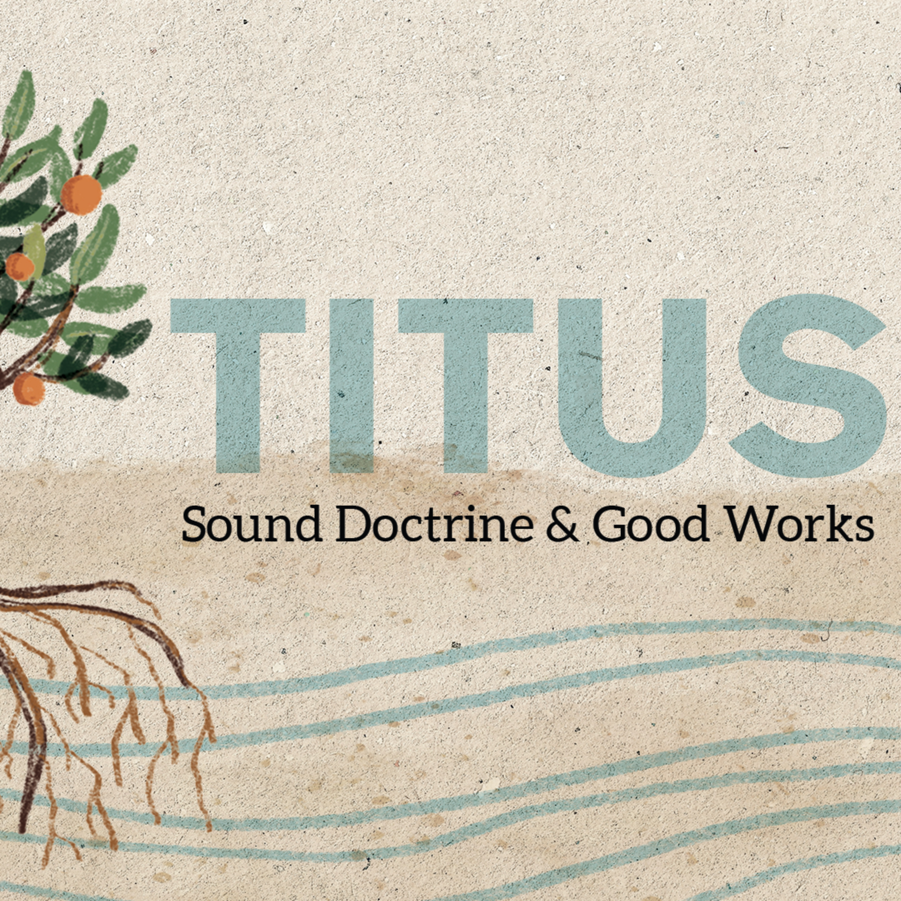 What a Church Needs to be Healthy