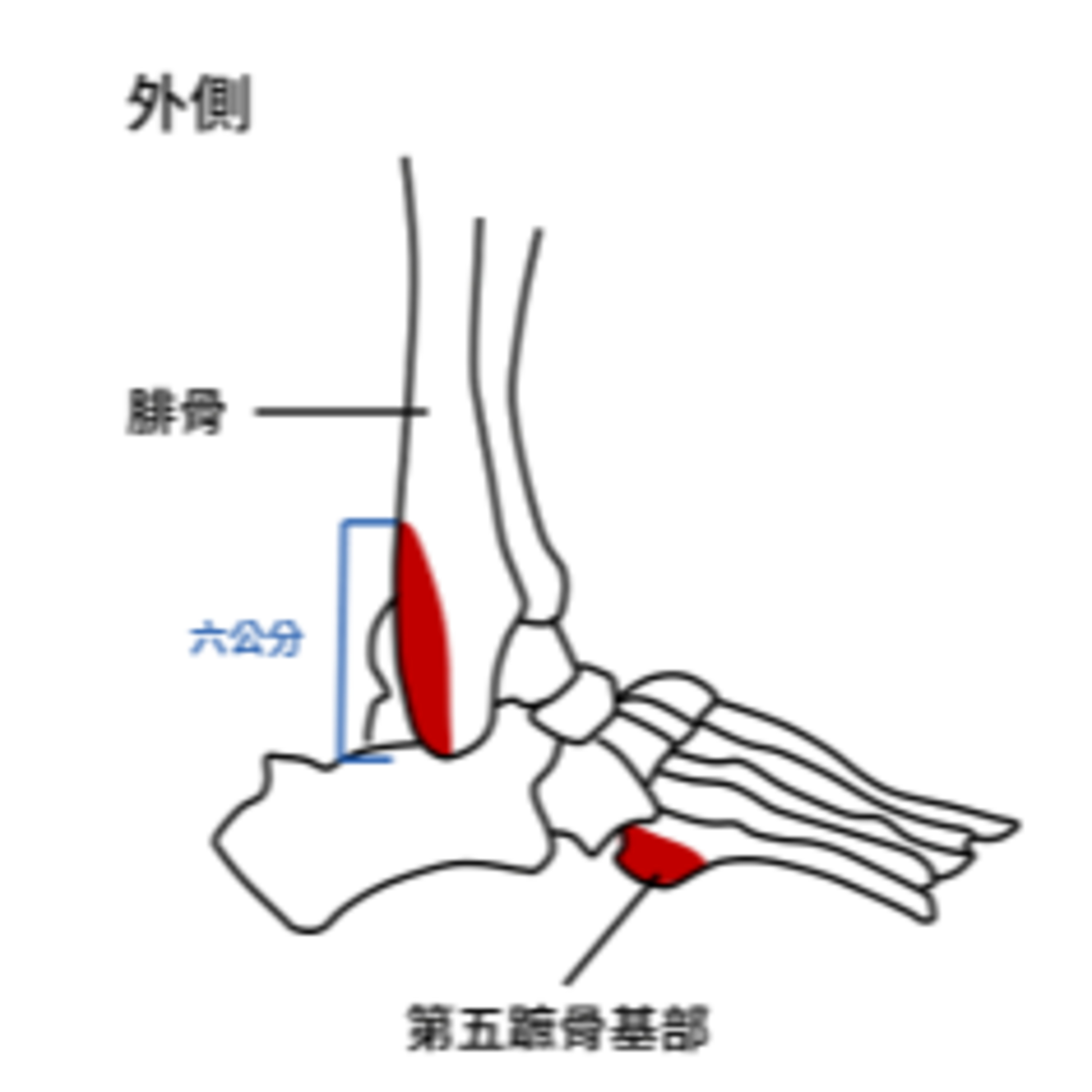 cover of episode ＃152： 臨床故事： 從否認到被說服 - 小鈣的臨床故事（渥太華踝關節規則）