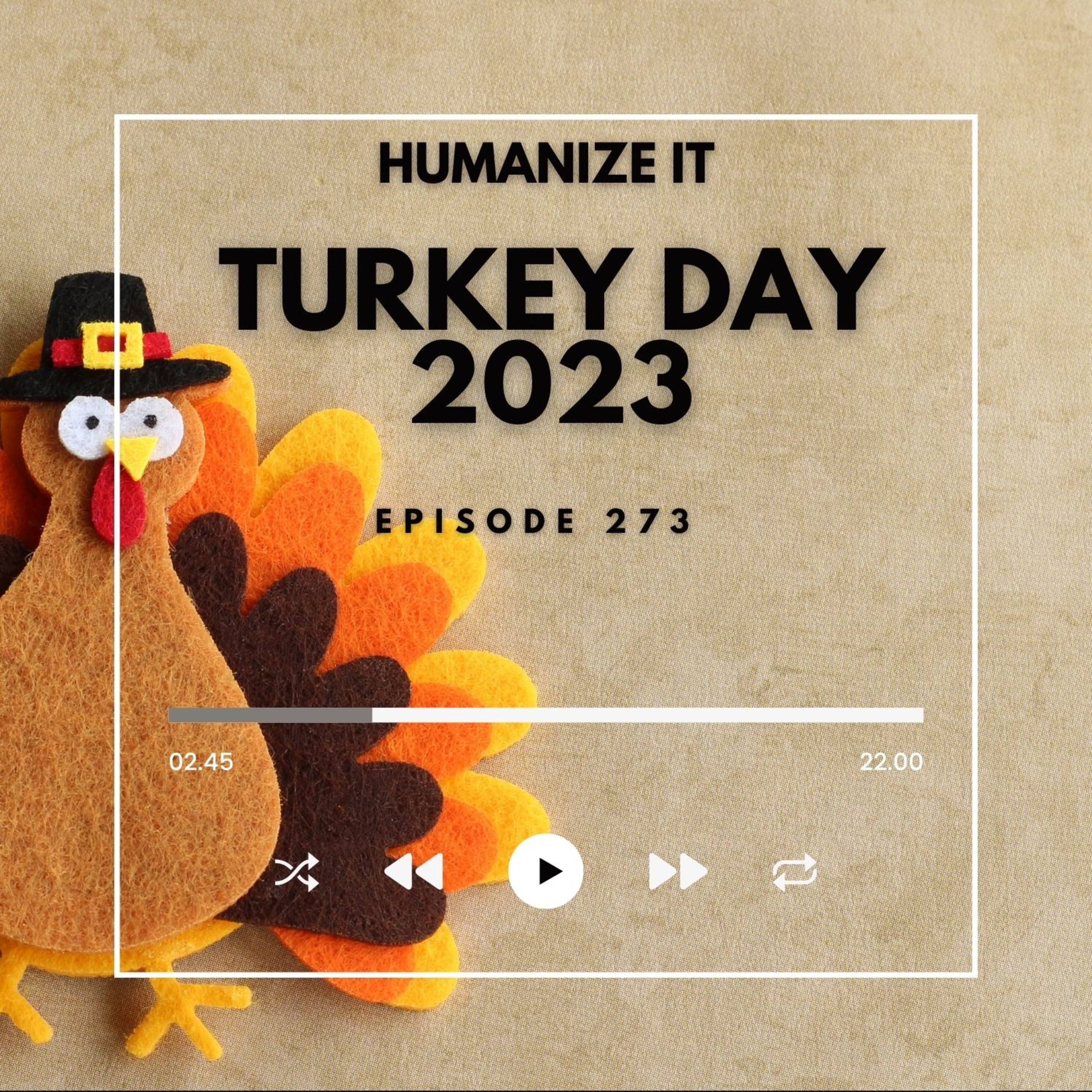 Humanize IT