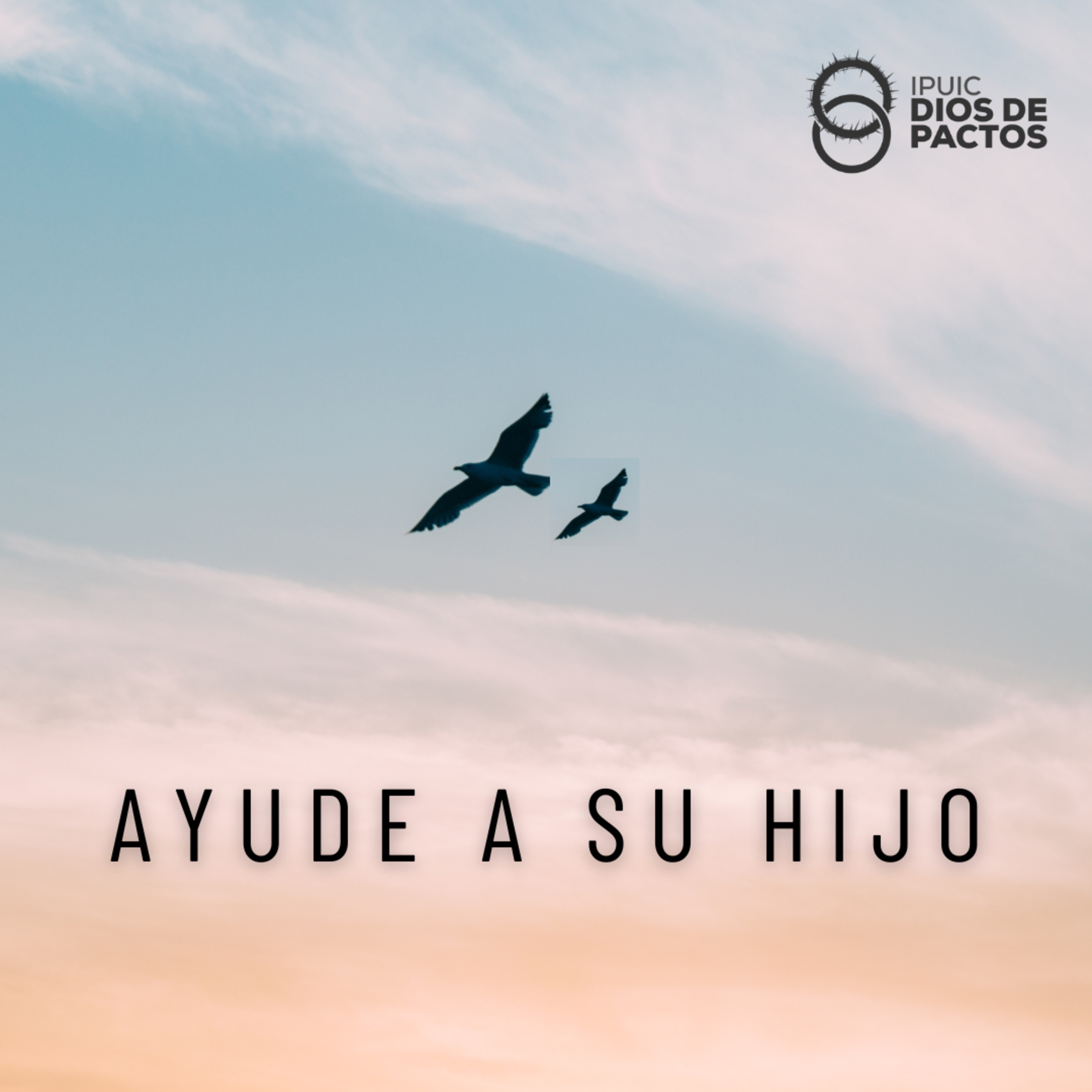 Ayude A Su Hijo episode artwork