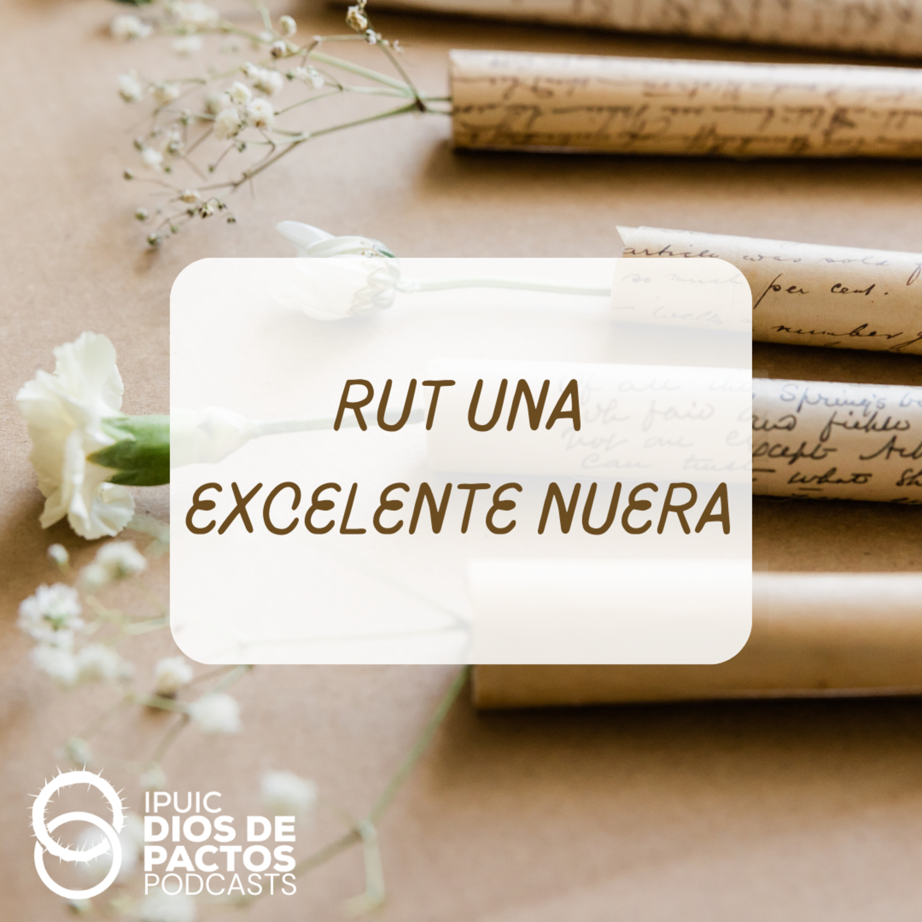 Rut Una Excelente Nuera episode artwork