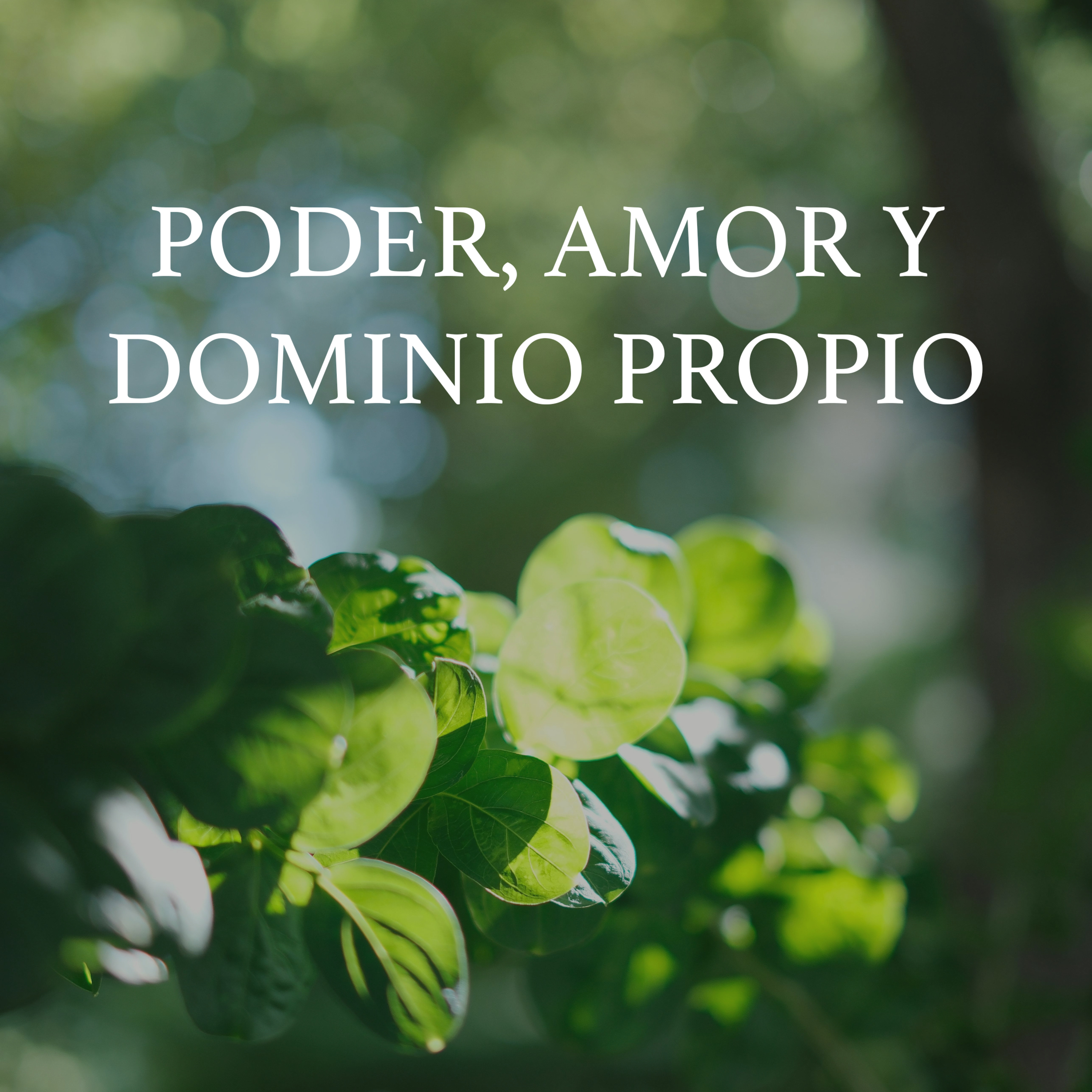 Poder, amor y dominio propio - Episodio 10 episode artwork