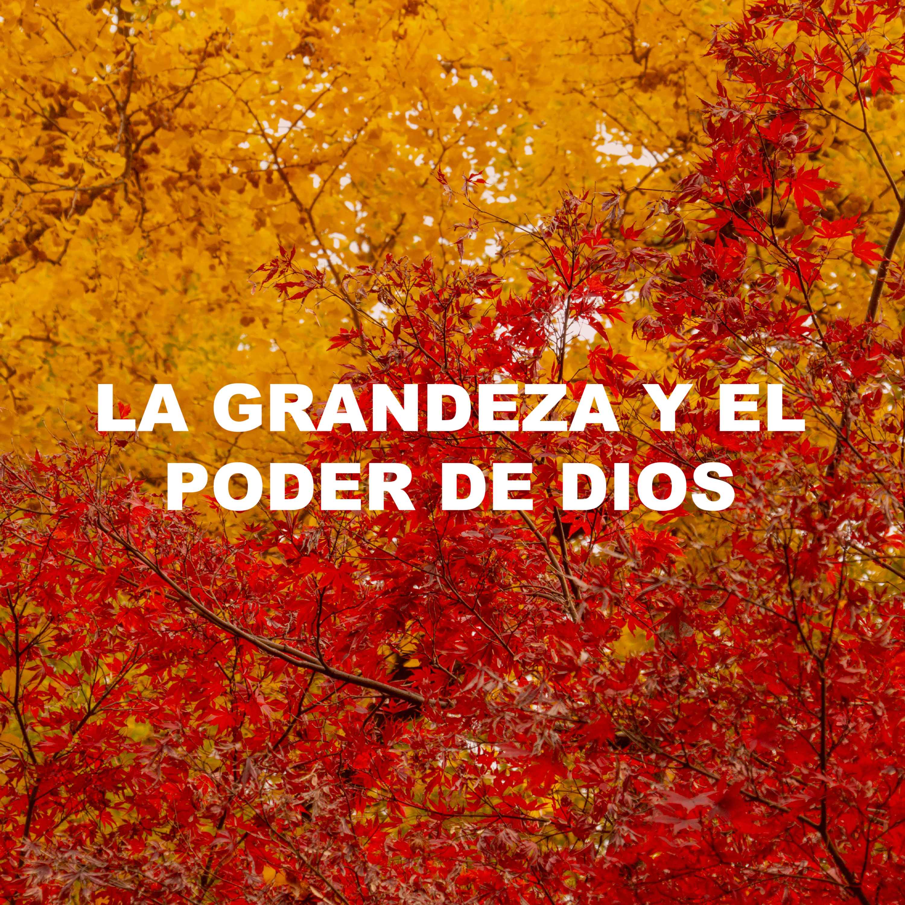 La grandeza y el poder De Dios - Episodio 4 episode artwork