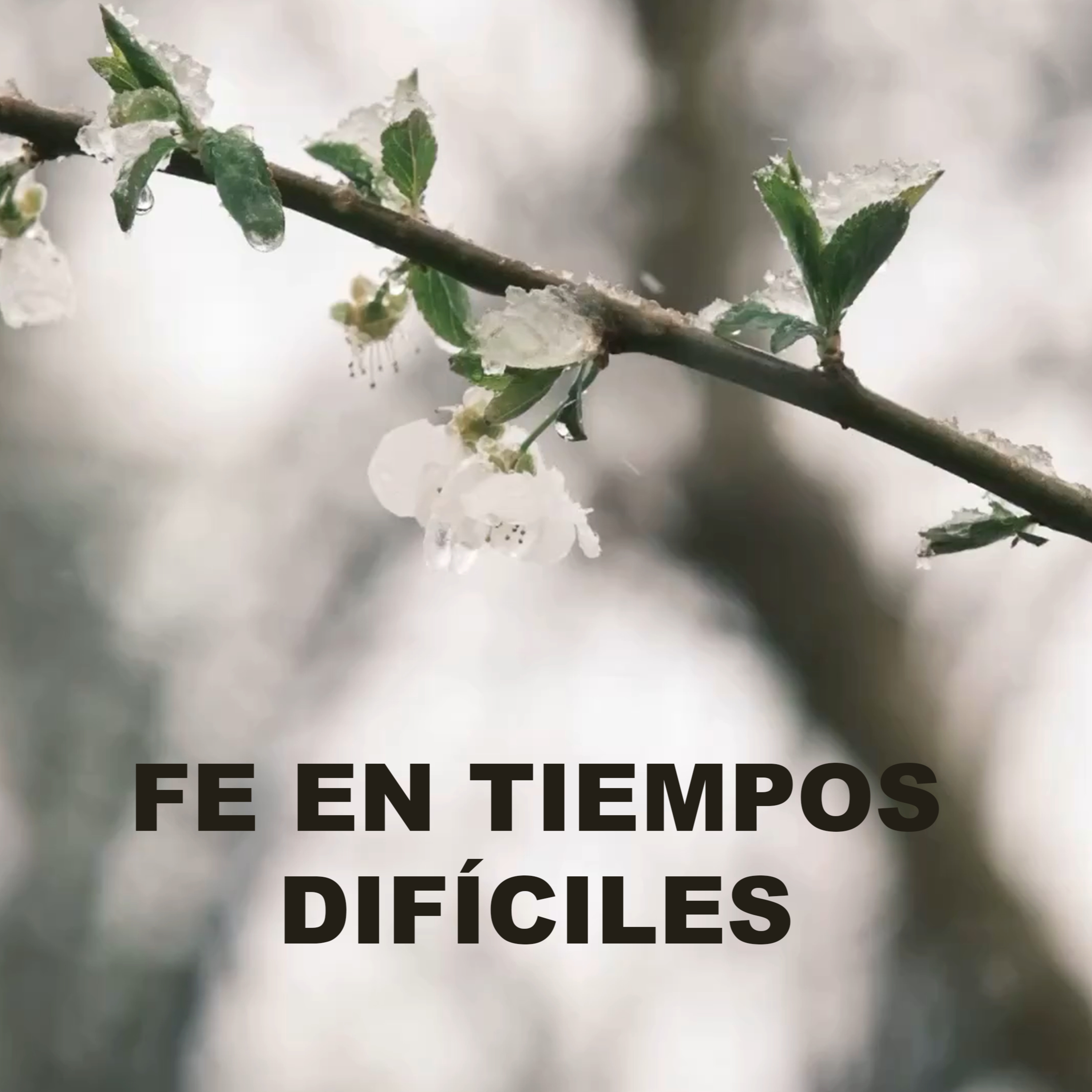Fe en tiempos difíciles - Episodio 2 episode artwork