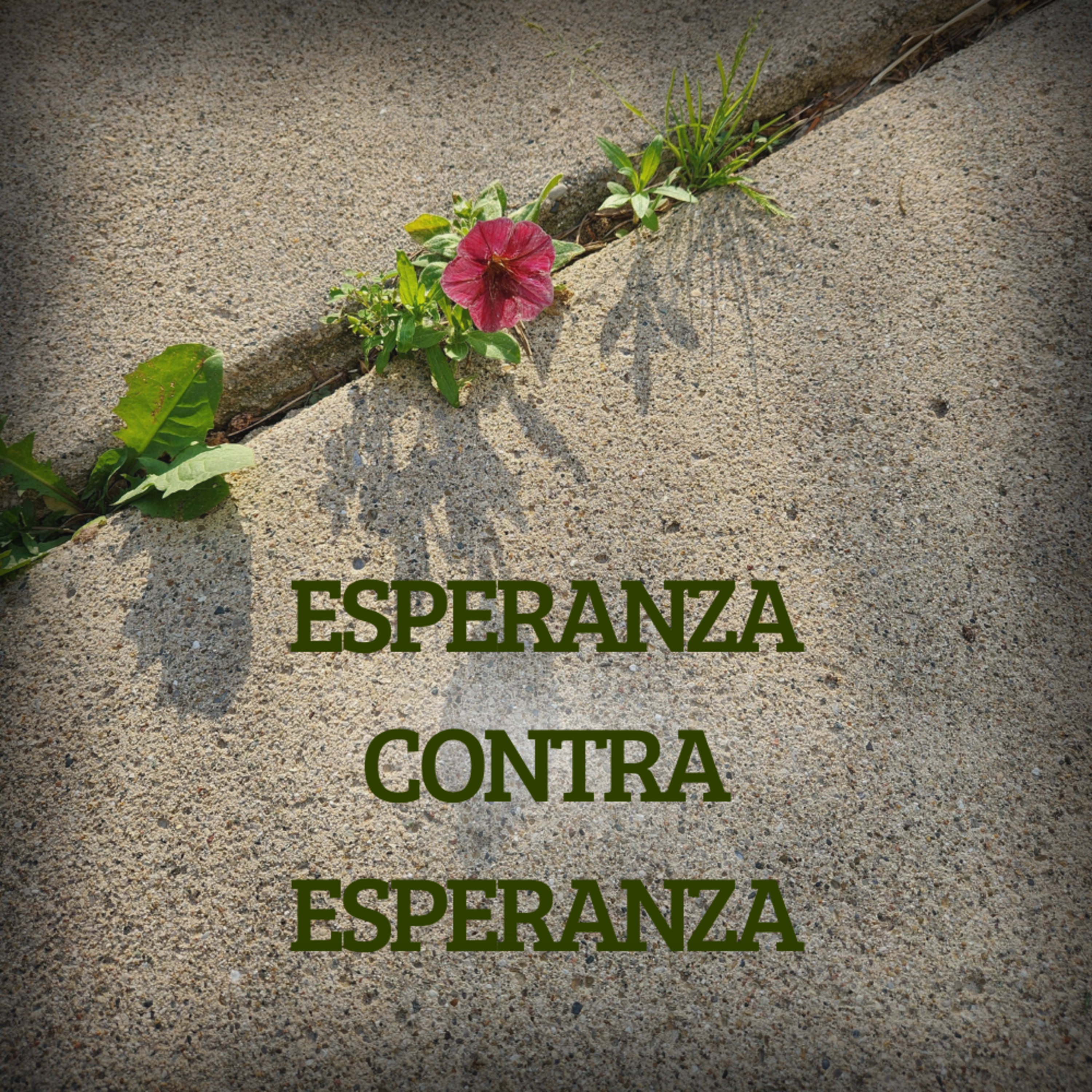 Esperanza contra Esperanza episode artwork