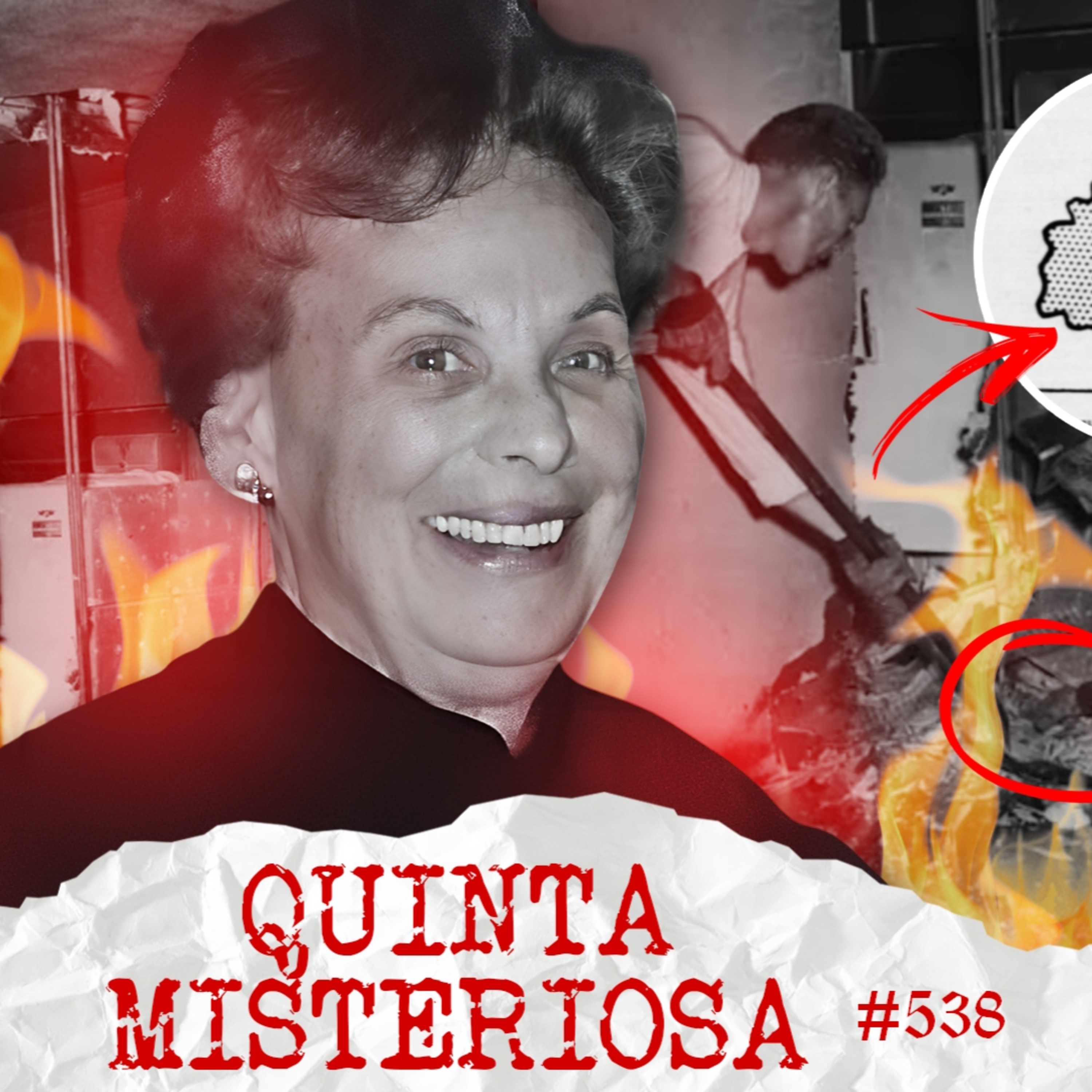 A MULHER DAS CINZAS: O QUE REALMENTE ACONTECEU COM MARY REESER? #538