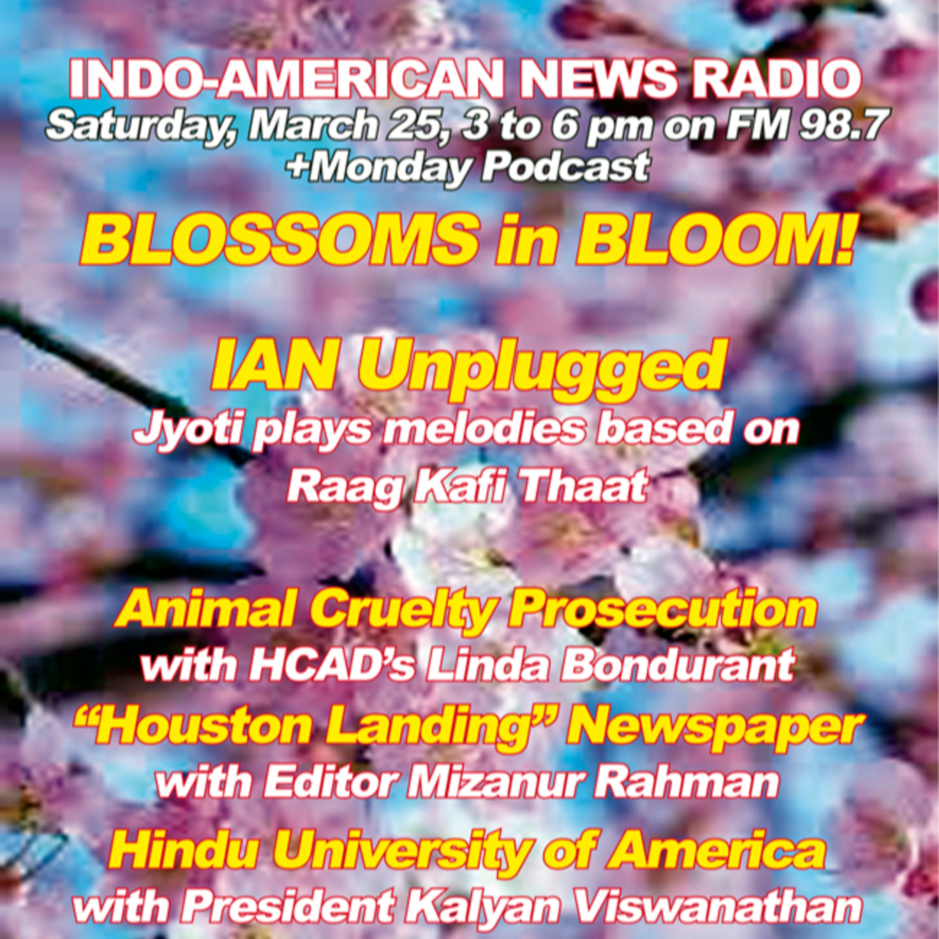 IANR 2312 032523 HCDA's Lindsey Bondurant on Animal Cruelty Prosecution; Mizanur Rahman, Editor of Houston Landing Digital Newspaper; Hindu University of America Pres. Kalyan Viswanathan episode artwork