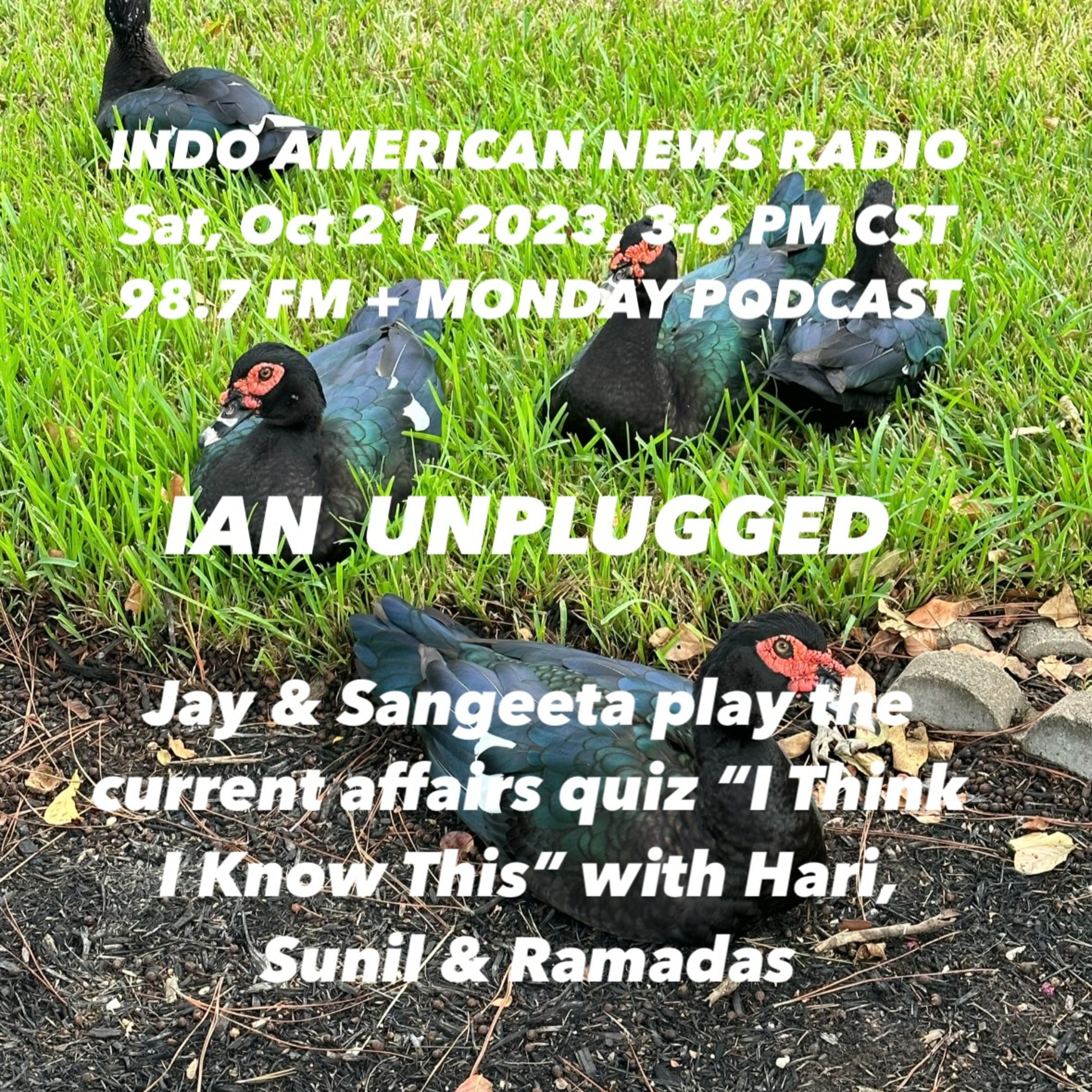 IAN Unplugged 2342 102123 Jay & Sangeeta play I Think I Know This with Hari Shivaraman, Ramadas Kandath & Sunil episode artwork