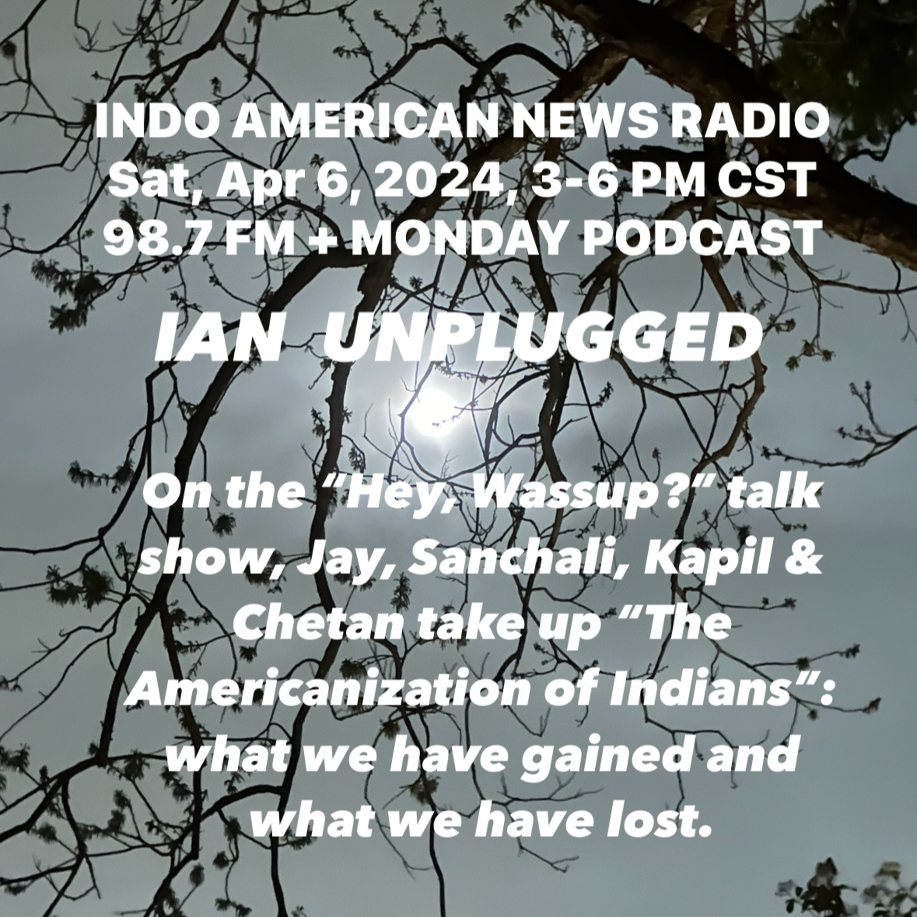 IAN Unplugged 2413 033024 On Hey Wassup, Jay Sanchali, Kapil & Chetan talk about the Americanizataion of Desis episode artwork