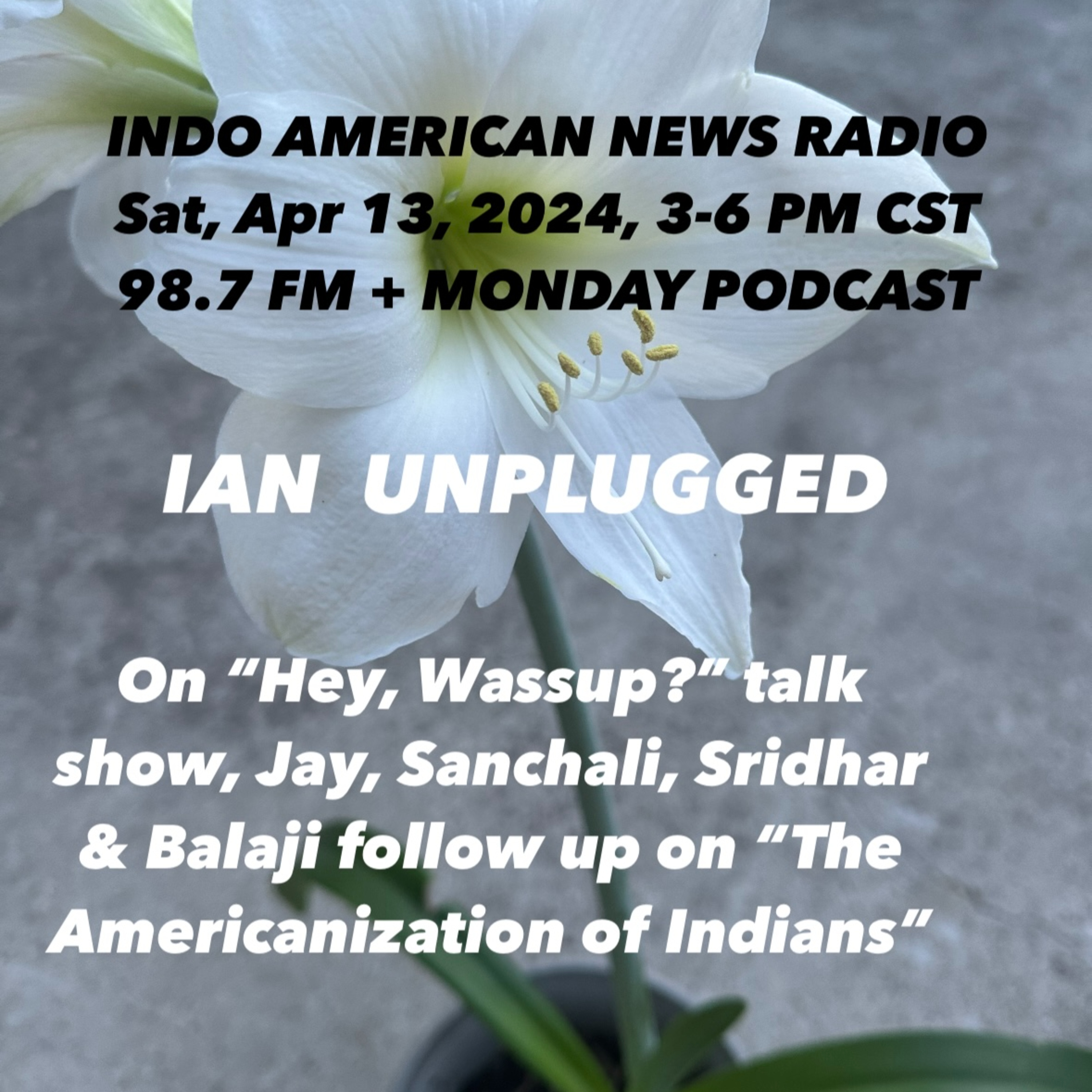 IAN Unplugged 2415 043024 On Hey Wassup, Jay, Sanchali, Sridhar & Balaji follow up on the Americanizataion of Desis episode artwork