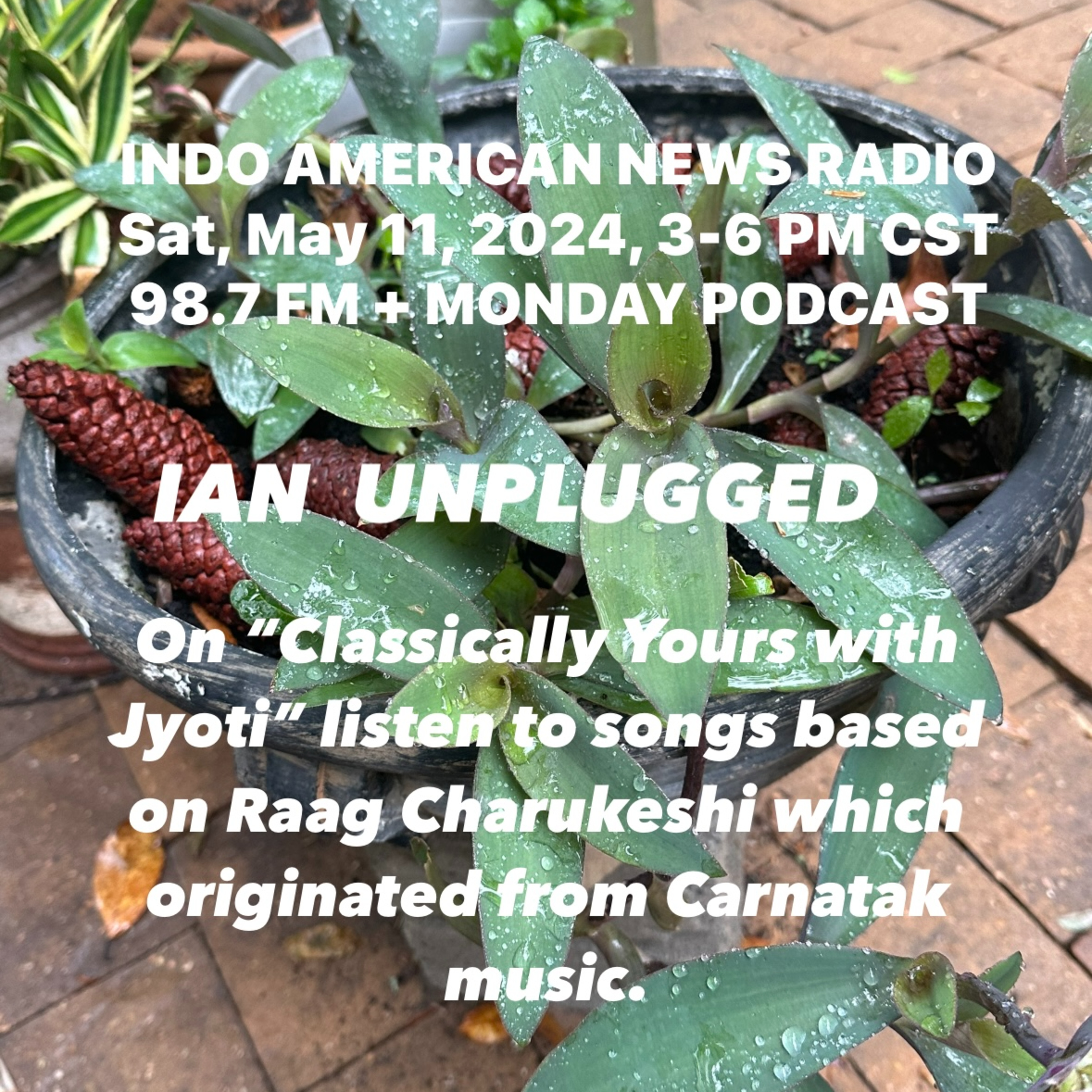 IAN Unplugged 2419 051124 On Classically Yours with Jyoti enjoy songs based on Raag Charukeshi episode artwork